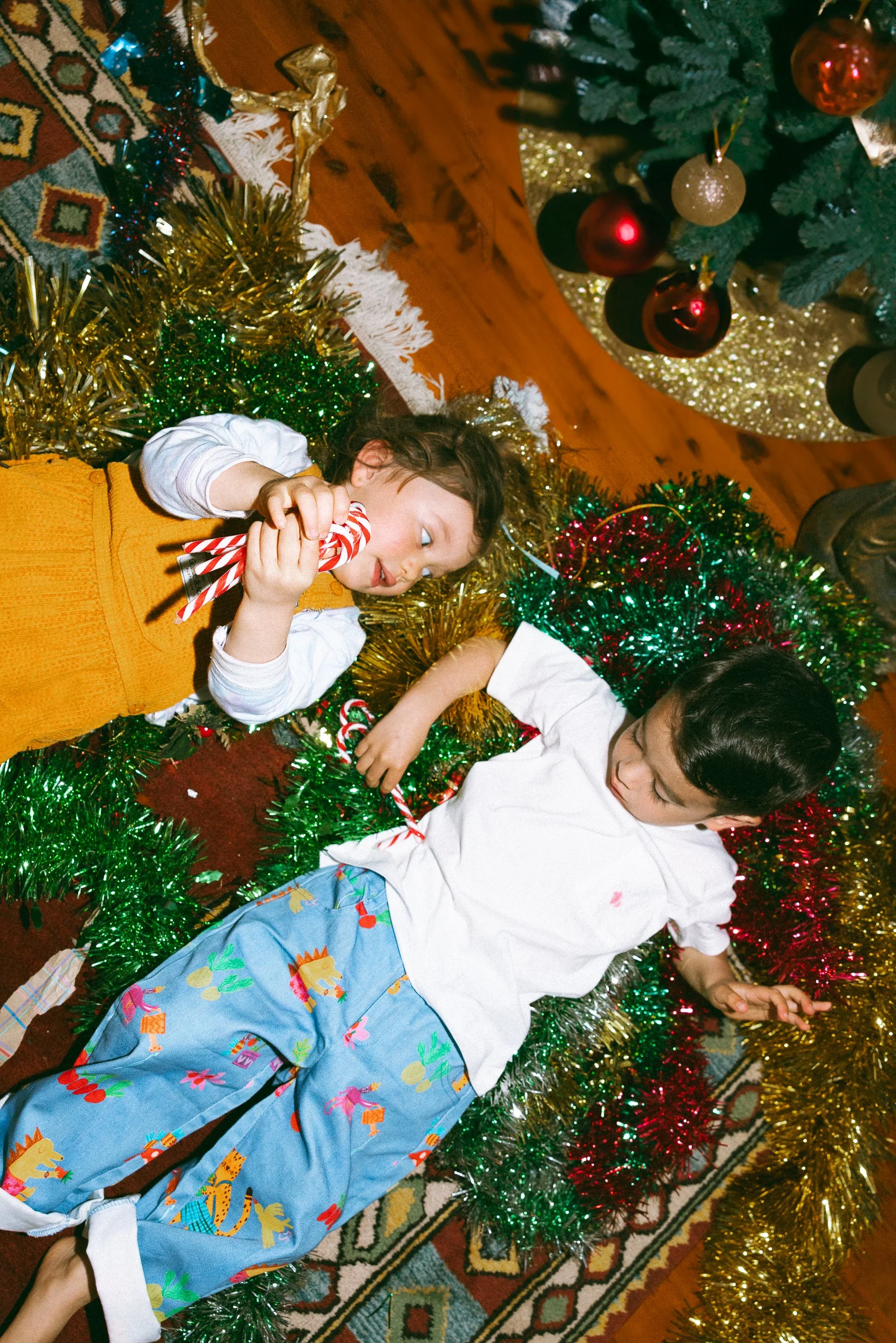 christmas minis-16.jpg
