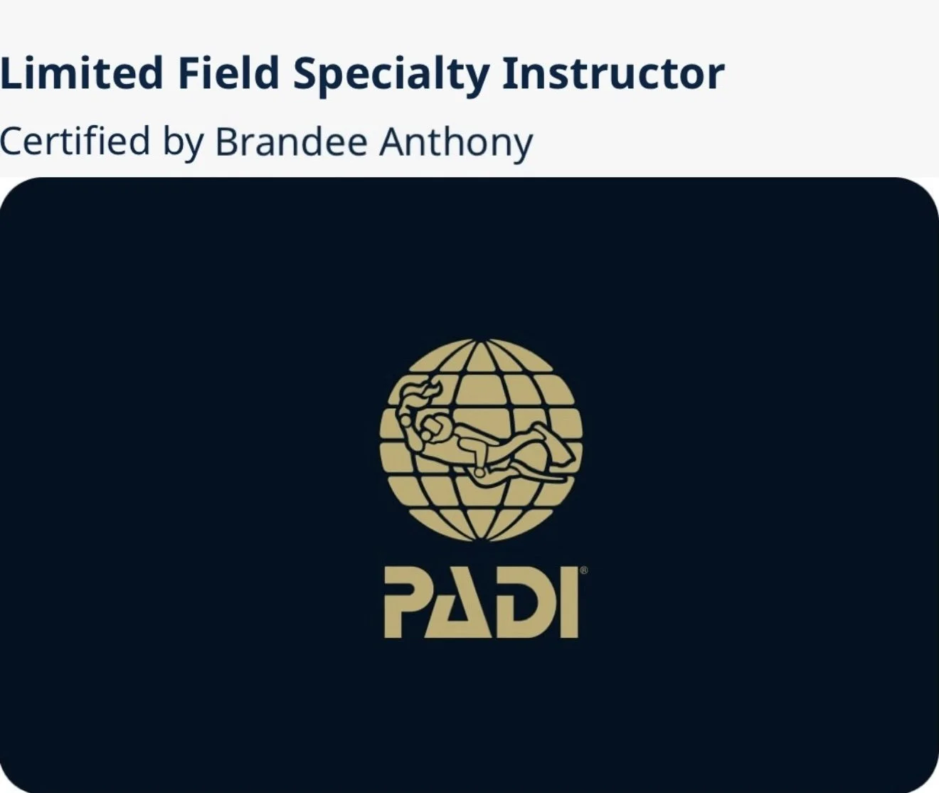 A logo of PADI with a diving mask and snorkel over a globe, on a dark background.