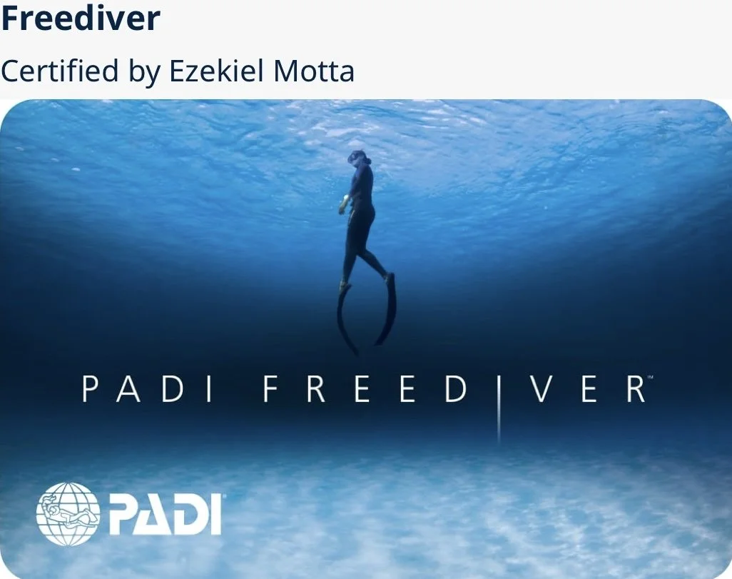 A person underwater wearing a wetsuit and fins, surrounded by blue water. The image features text indicating it is a PADI Freediver certified by Ezekiel Motta.