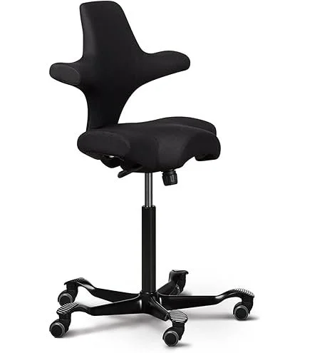 hag capisco chair jre podcast