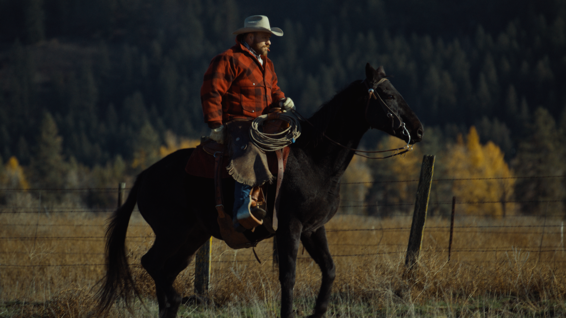 Still 2026-04-24 154903_2.67.1.png