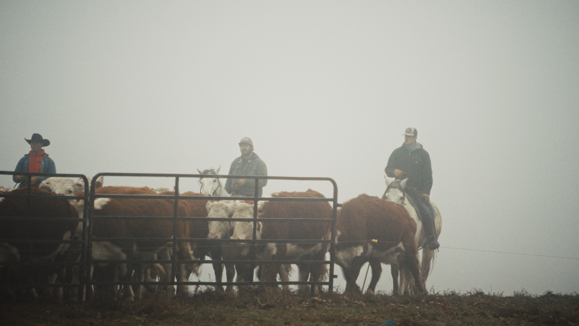 Still 2026-04-24 154903_1.26.1.png