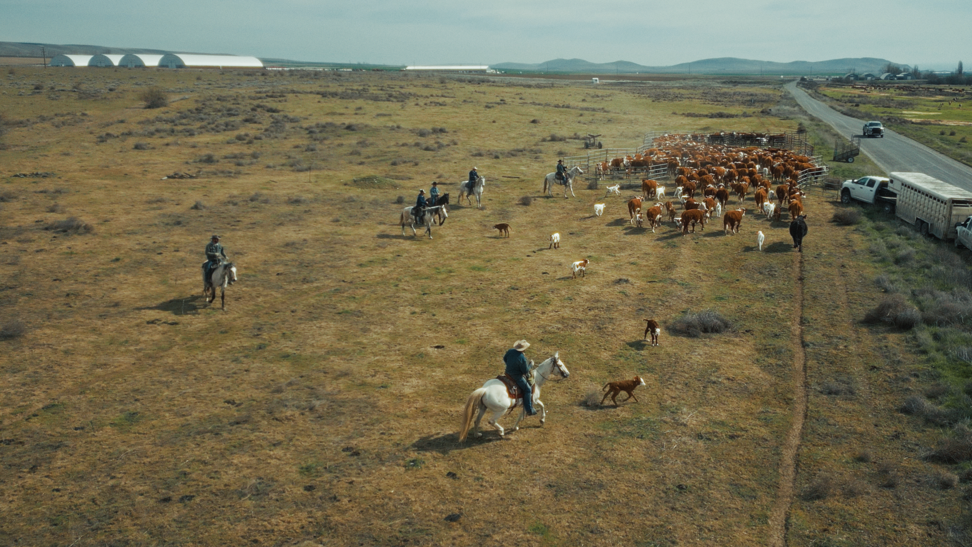 Still 2026-04-24 154903_2.158.1.png