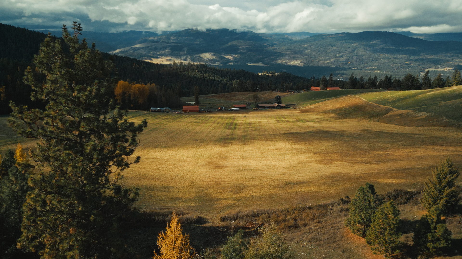 Still 2026-04-24 154903_2.139.1.png