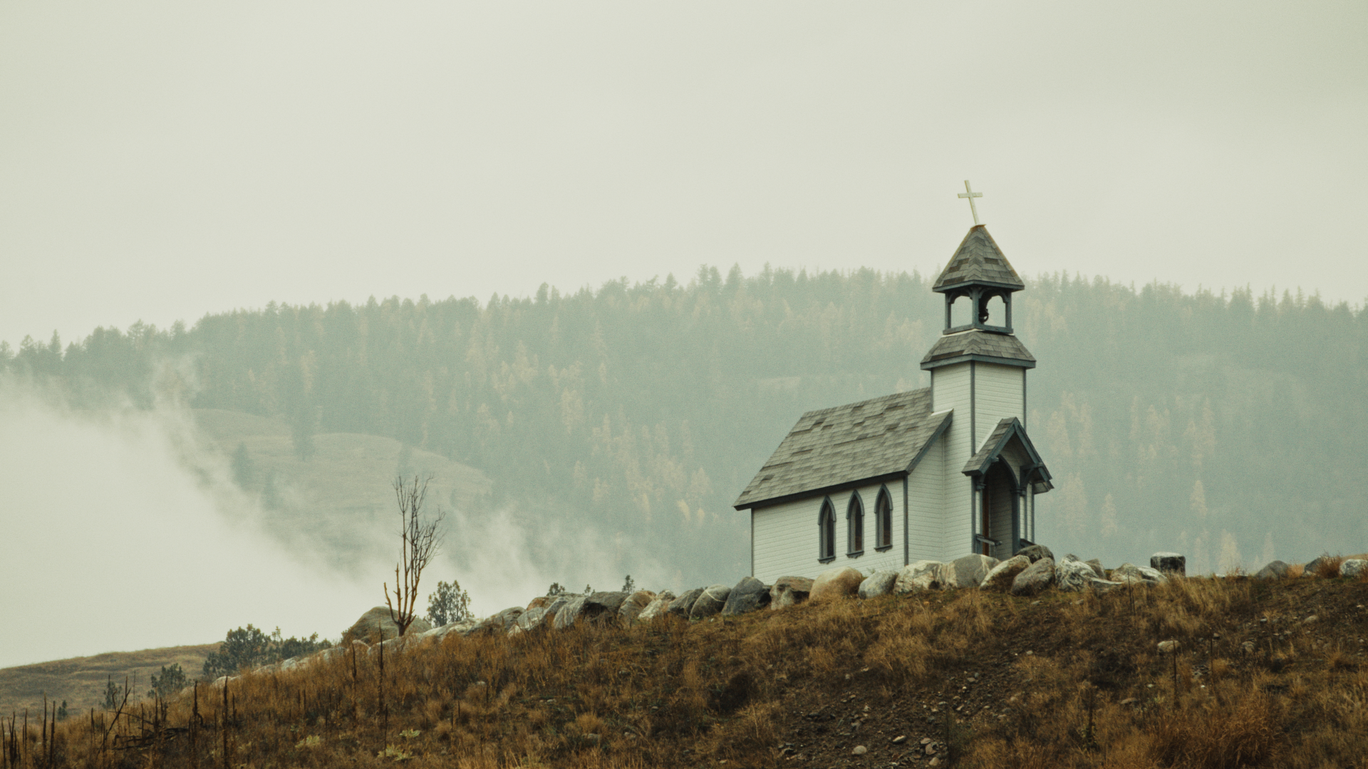 Still 2026-04-24 154903_2.124.1.png