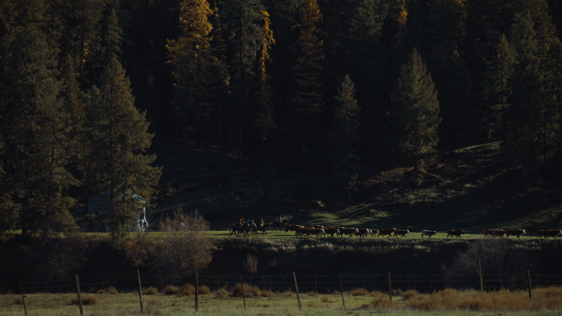 Still 2026-04-24 154903_2.121.1.png