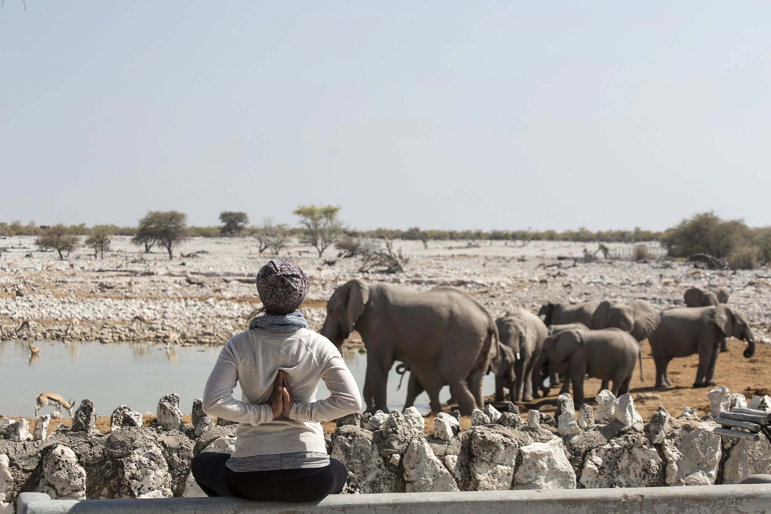 A person practicing meditation near a waterhole with elephants and a gazelle in a desert landscape in Namibia, trees in the background, clear blue sky.