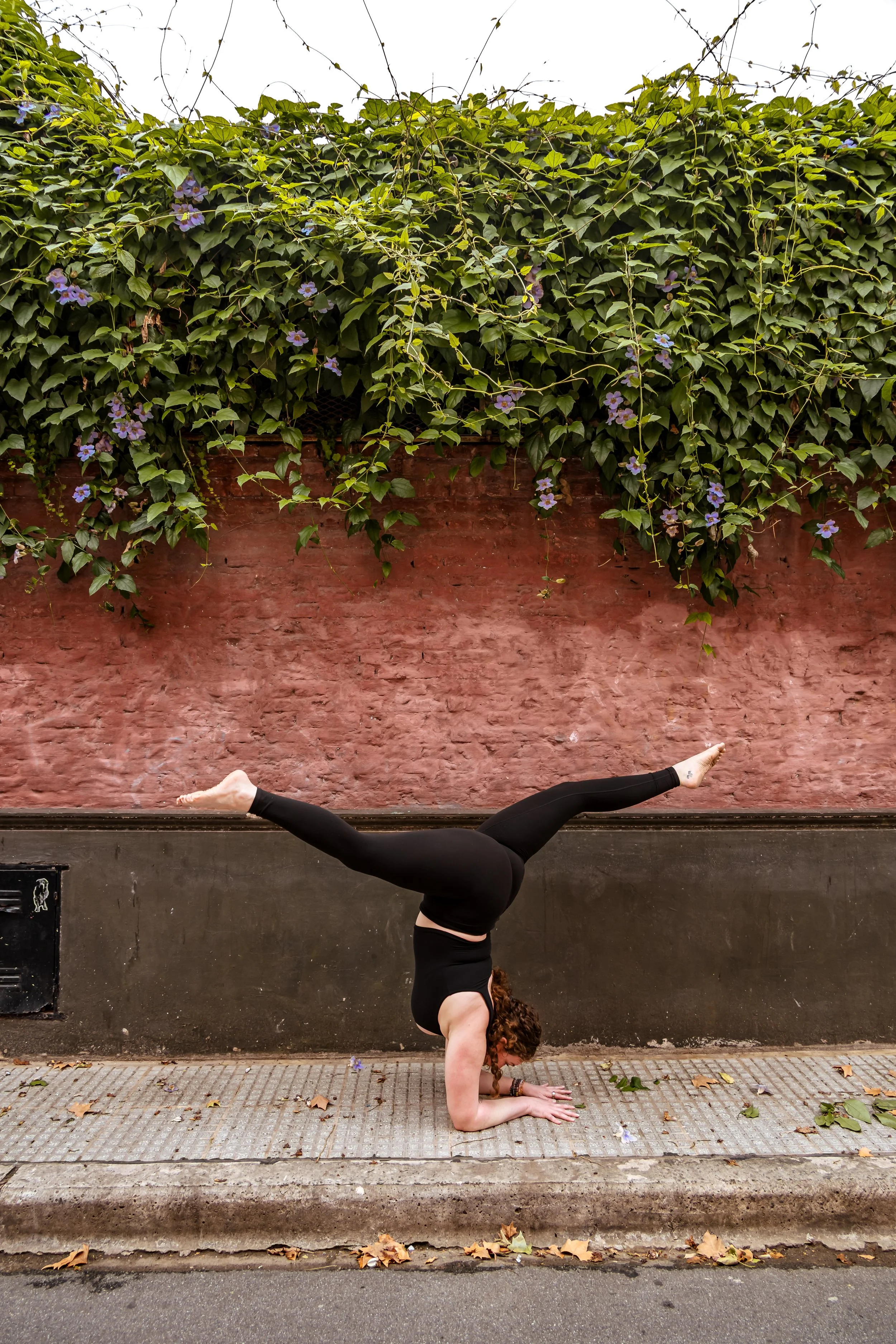 A woman performing a handstand yoga pose outdoors against a red brick wall covered with green vines and purple flowers. She is on her forearms with her legs extended and parallel to the ground, on a sidewalk with fallen leaves.