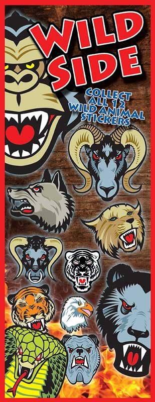 Wild Side Animals Display