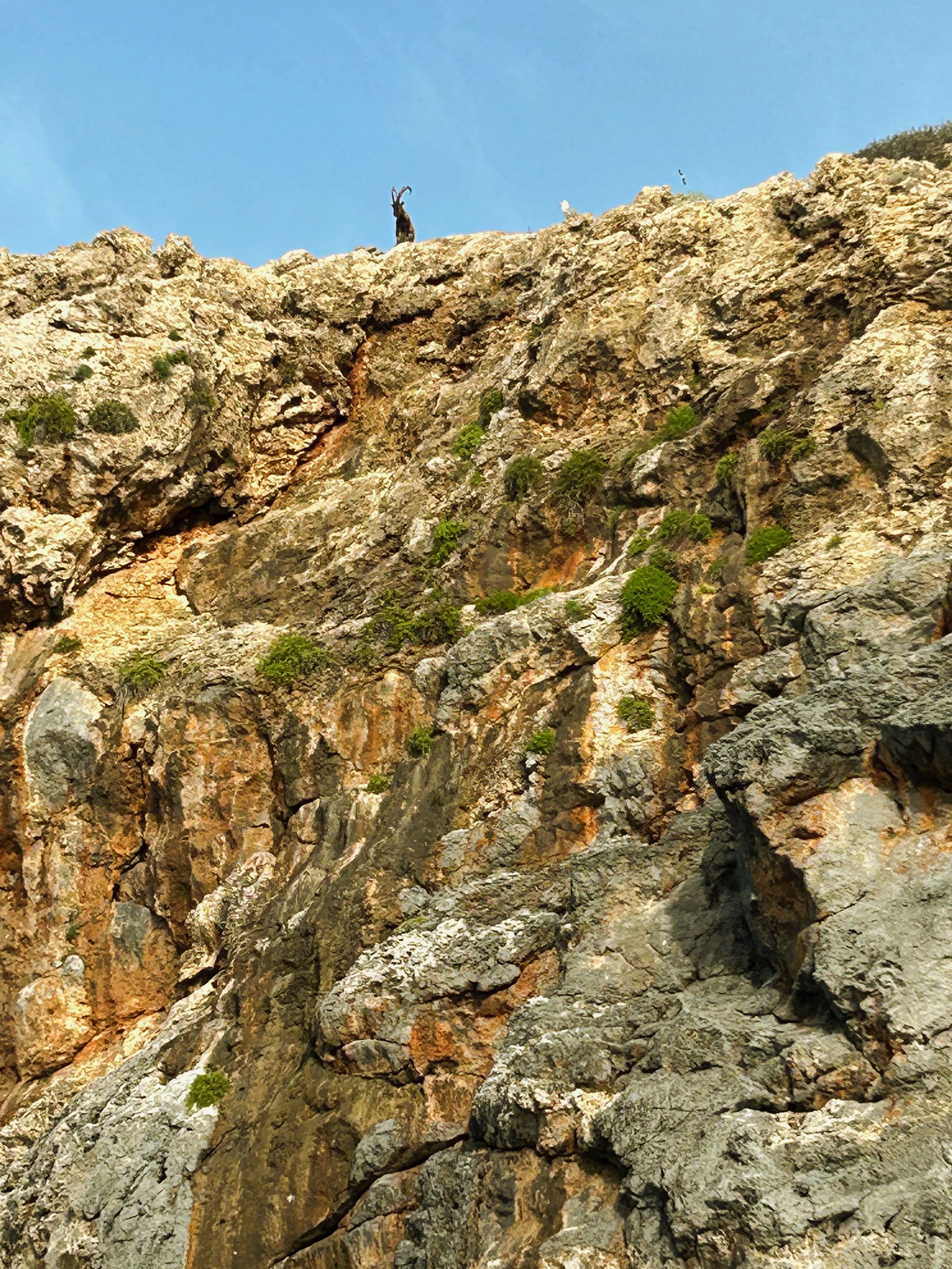 Thodorou Island Chania