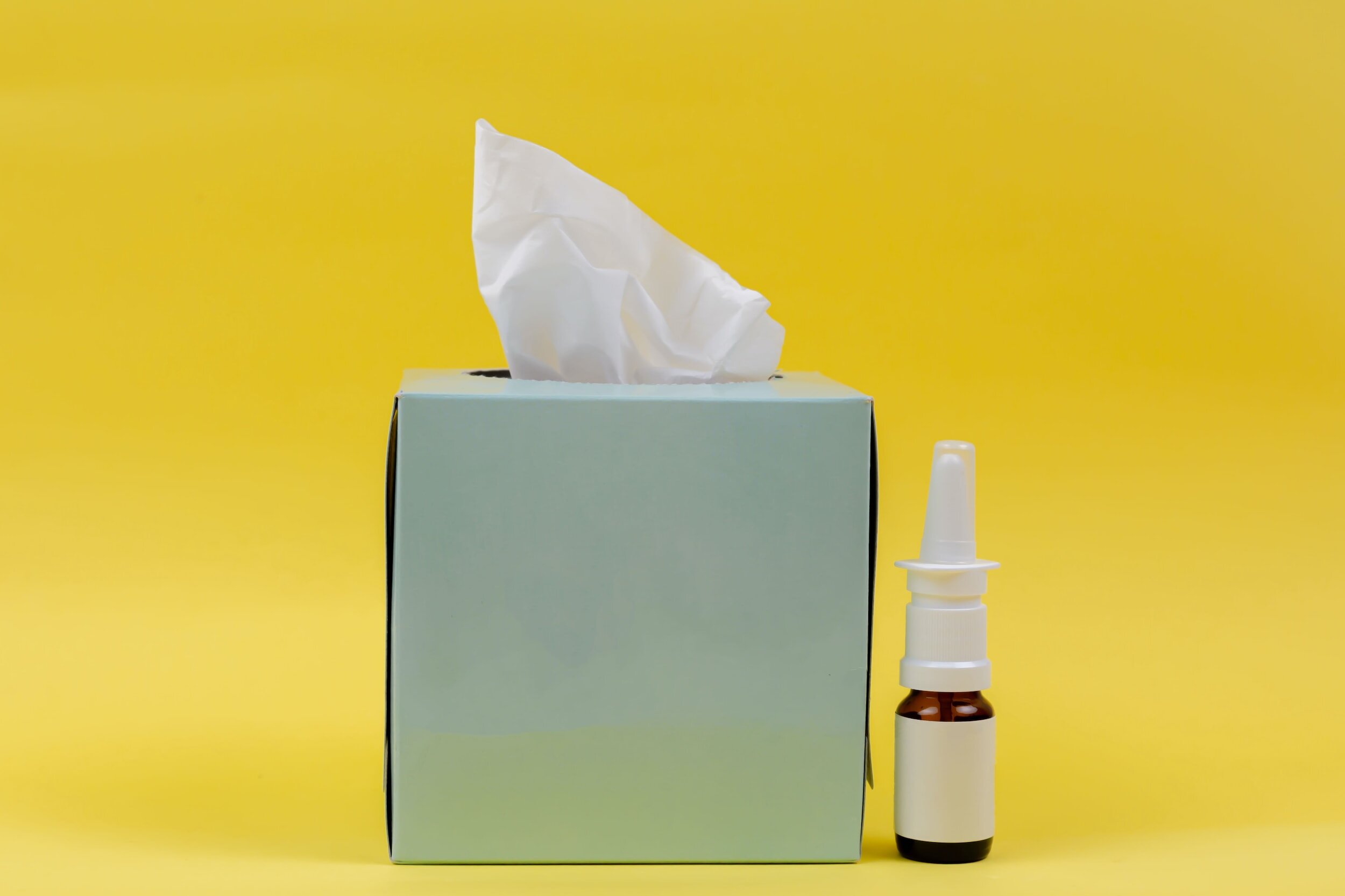How to Survive Your Tree Pollen Allergies