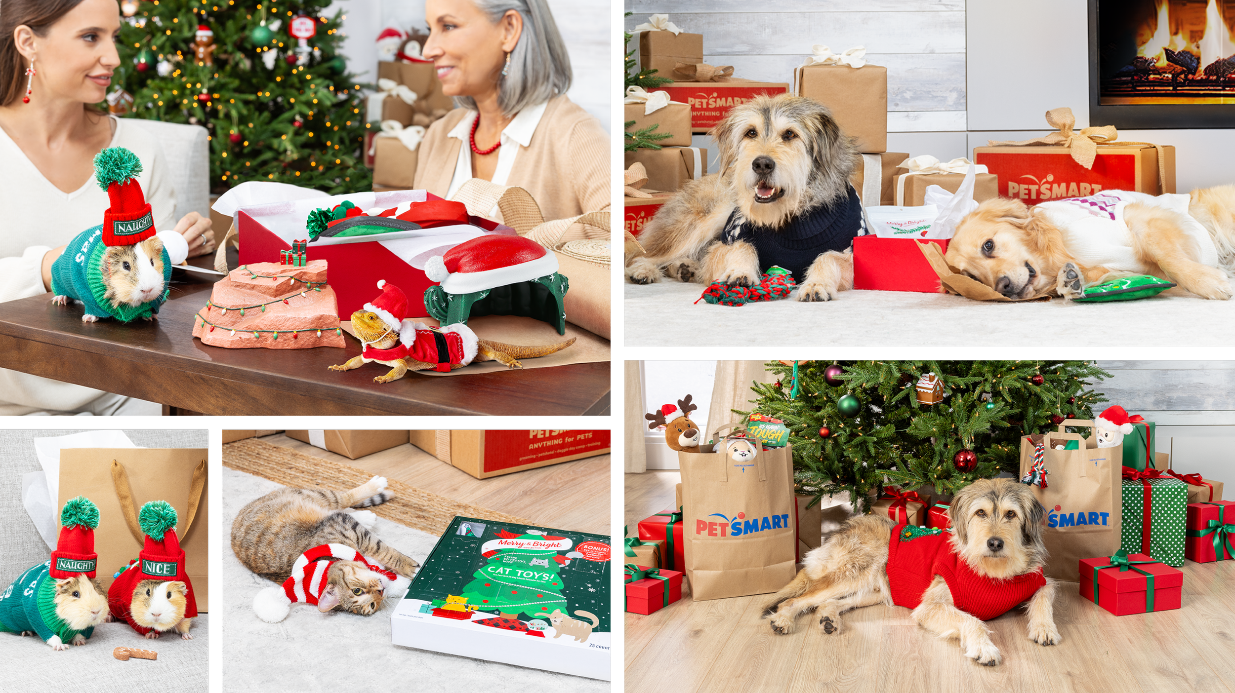 Five photography examples from the holiday shoot