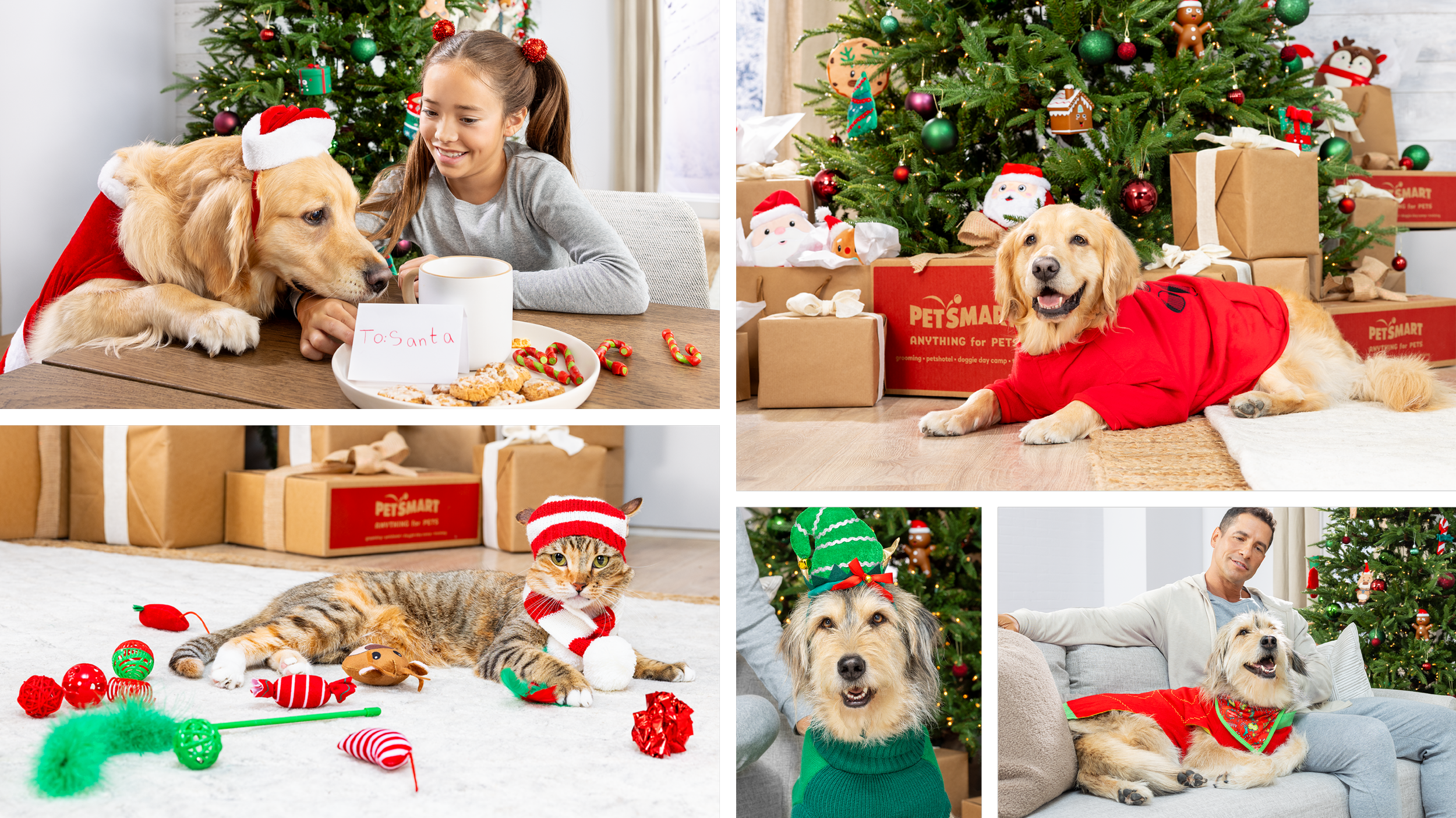 Five photography examples from the holiday shoot