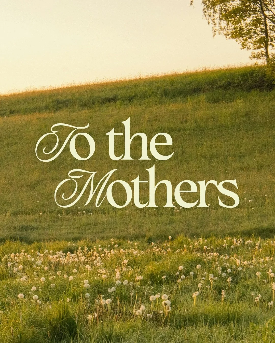 To every mother and mother figure, in every season, with every story - thank you. 💛

Tomorrow we take a moment to honour the women who nurture, love, carry, lead, pray, support, sacrifice and show up for others in countless ways.

Whether Mother&rsq