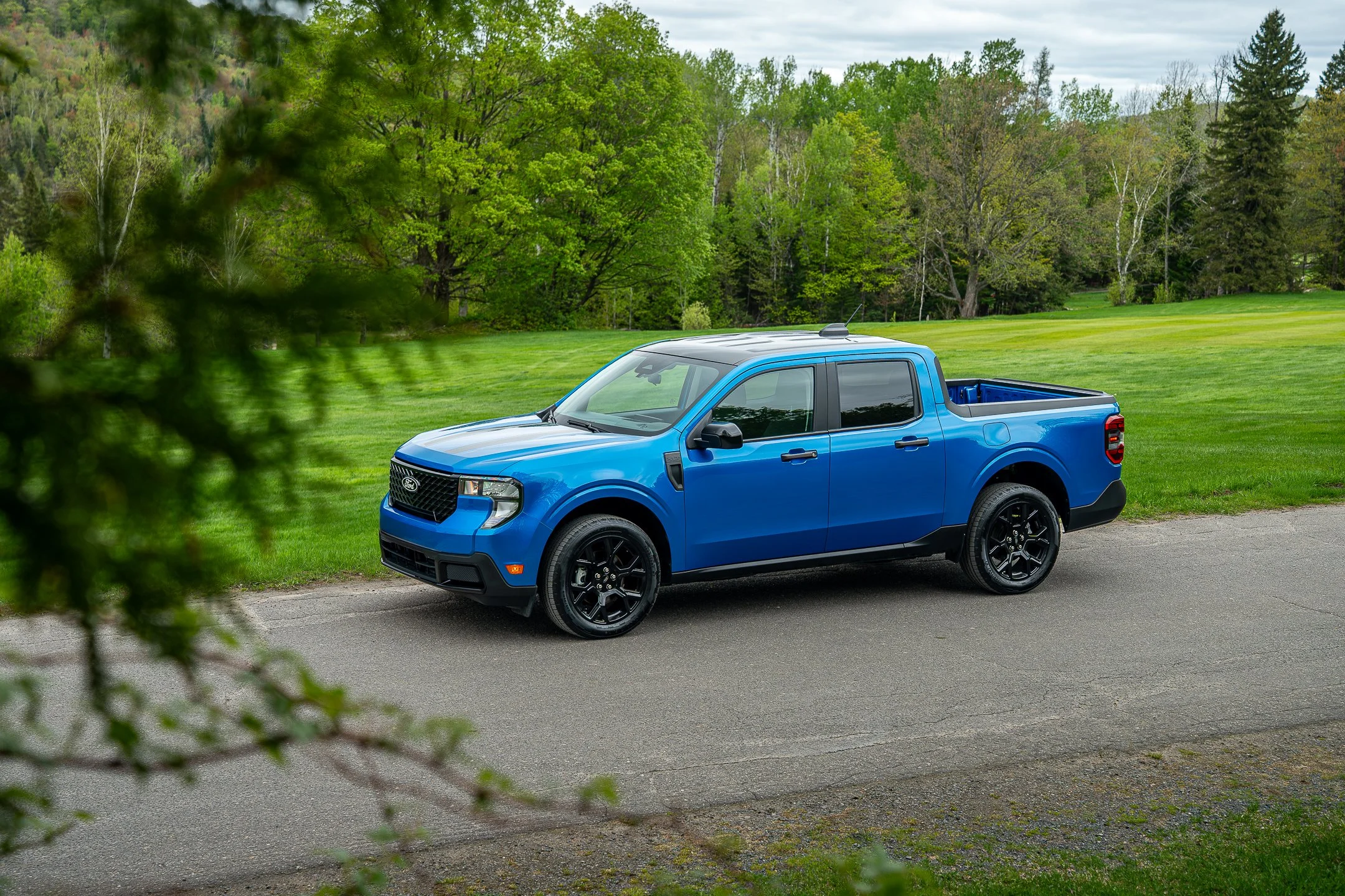 Une camionnette bleue stationnée sur un chemin à côté d'une pelouse verte et d'arbres.