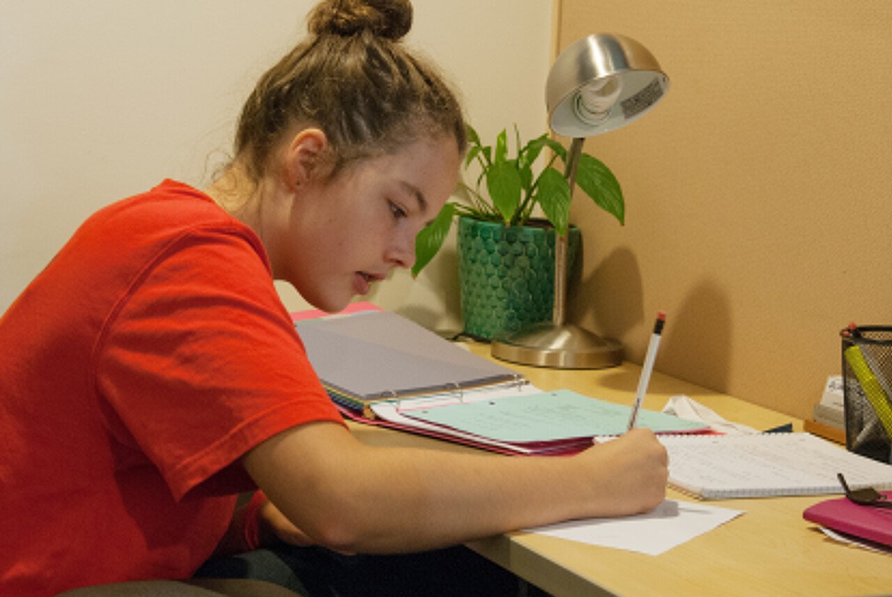 A girl with curly hair tied in a bun, wearing a red shirt, sitting at a desk and writing in a notebook. The desk has notebooks, papers, a pink folder, a yellow pencil case, a desk lamp, and a pot with a green plant. The background is a beige wall.