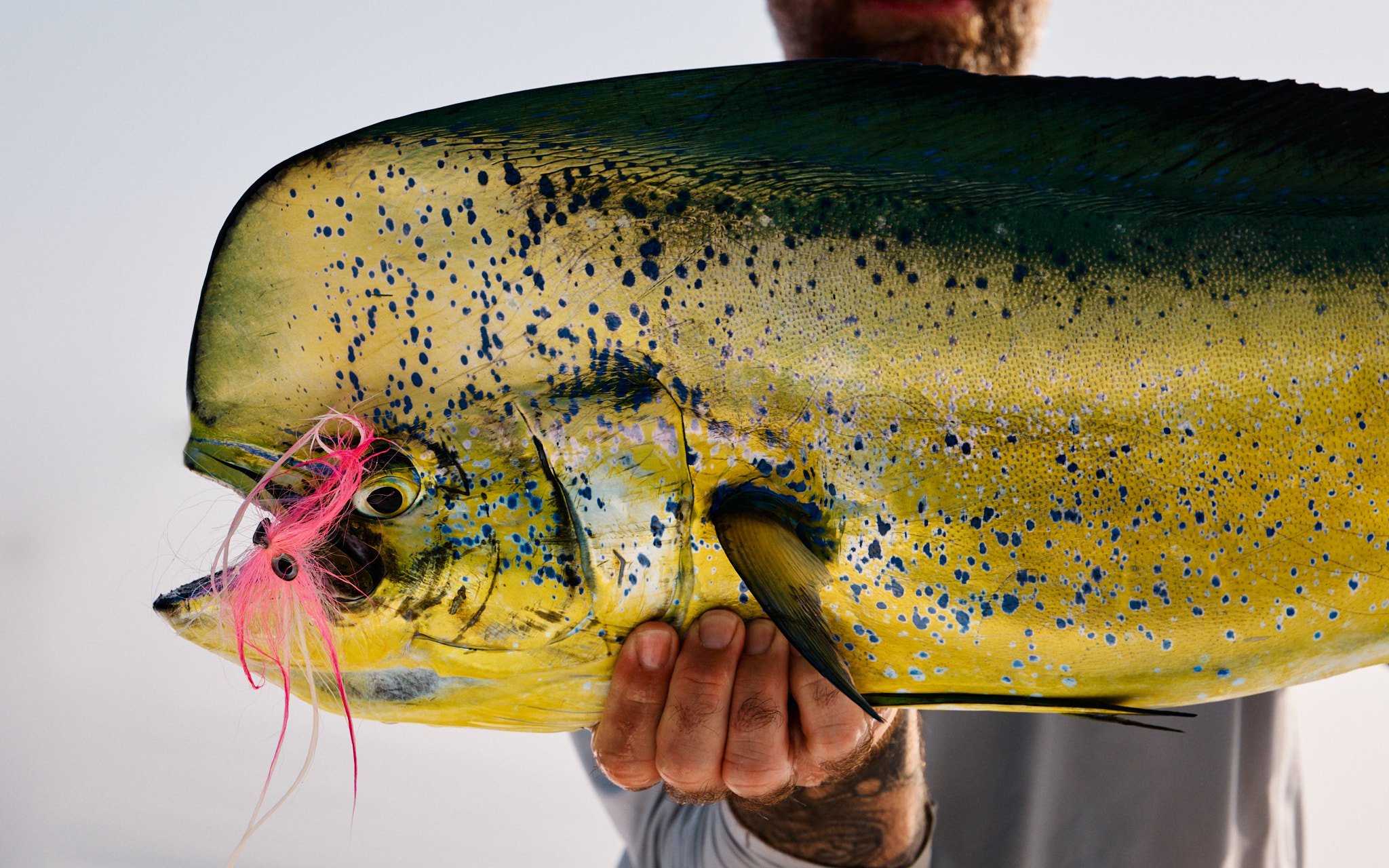 ASF & Flatscraft Oman -2025-11-07 15.11.05 3955.jpg