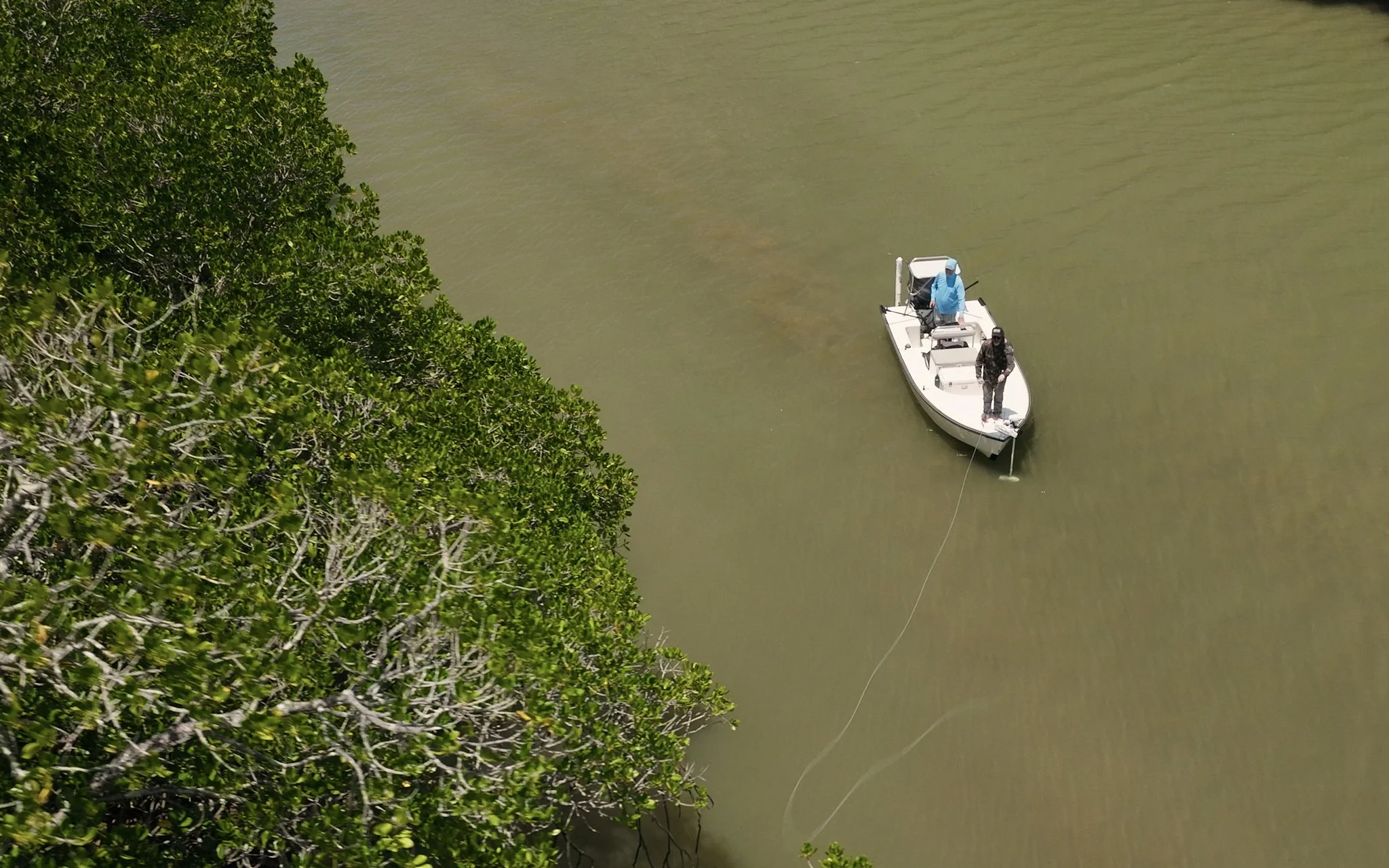 Unsorted-Shimano-2025-03-18 04.19.29.jpg