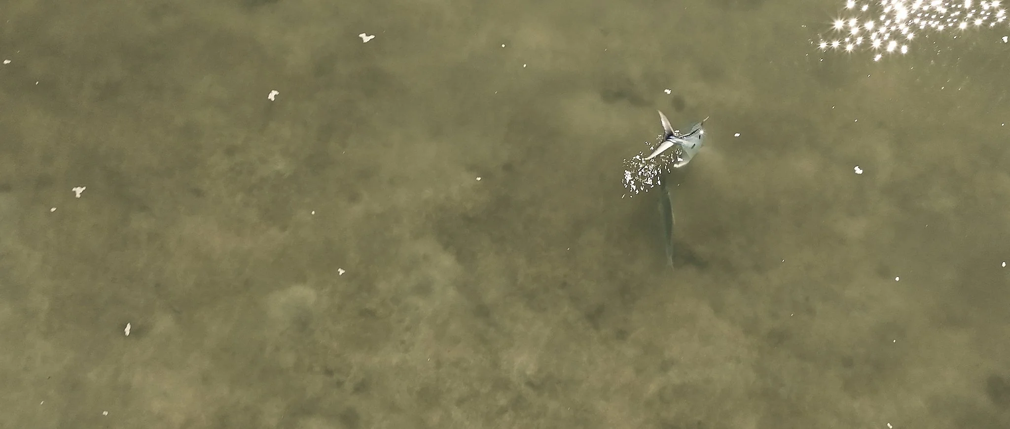 Unsorted-2025-05-26 02.32.11 1.jpg