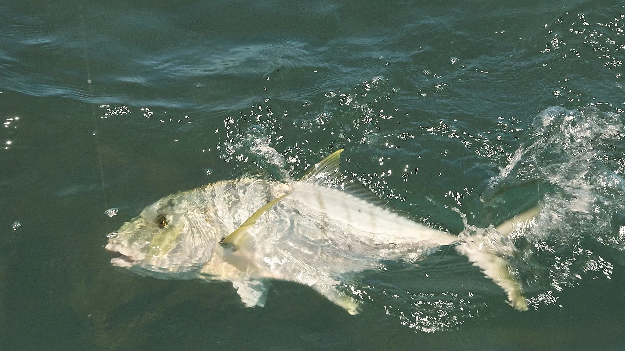 Unsorted-2025-05-26 02.32.12 5.jpg