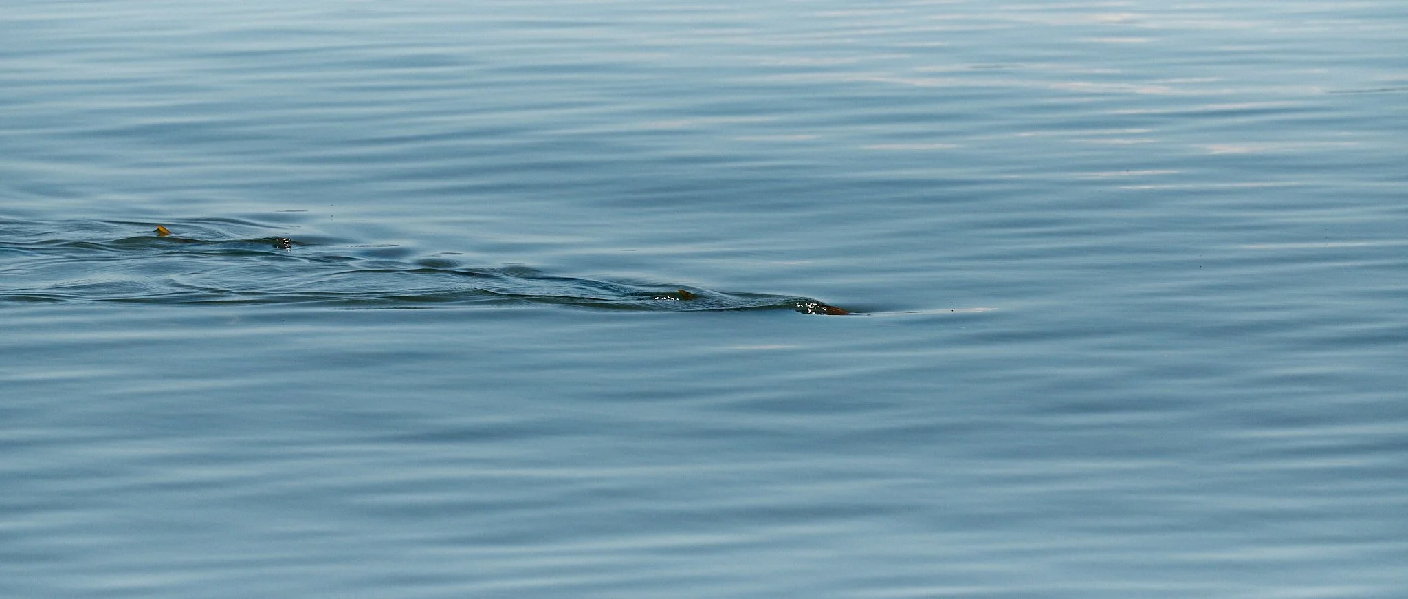 Permit-2025-08-05 11.06.00 145.jpg