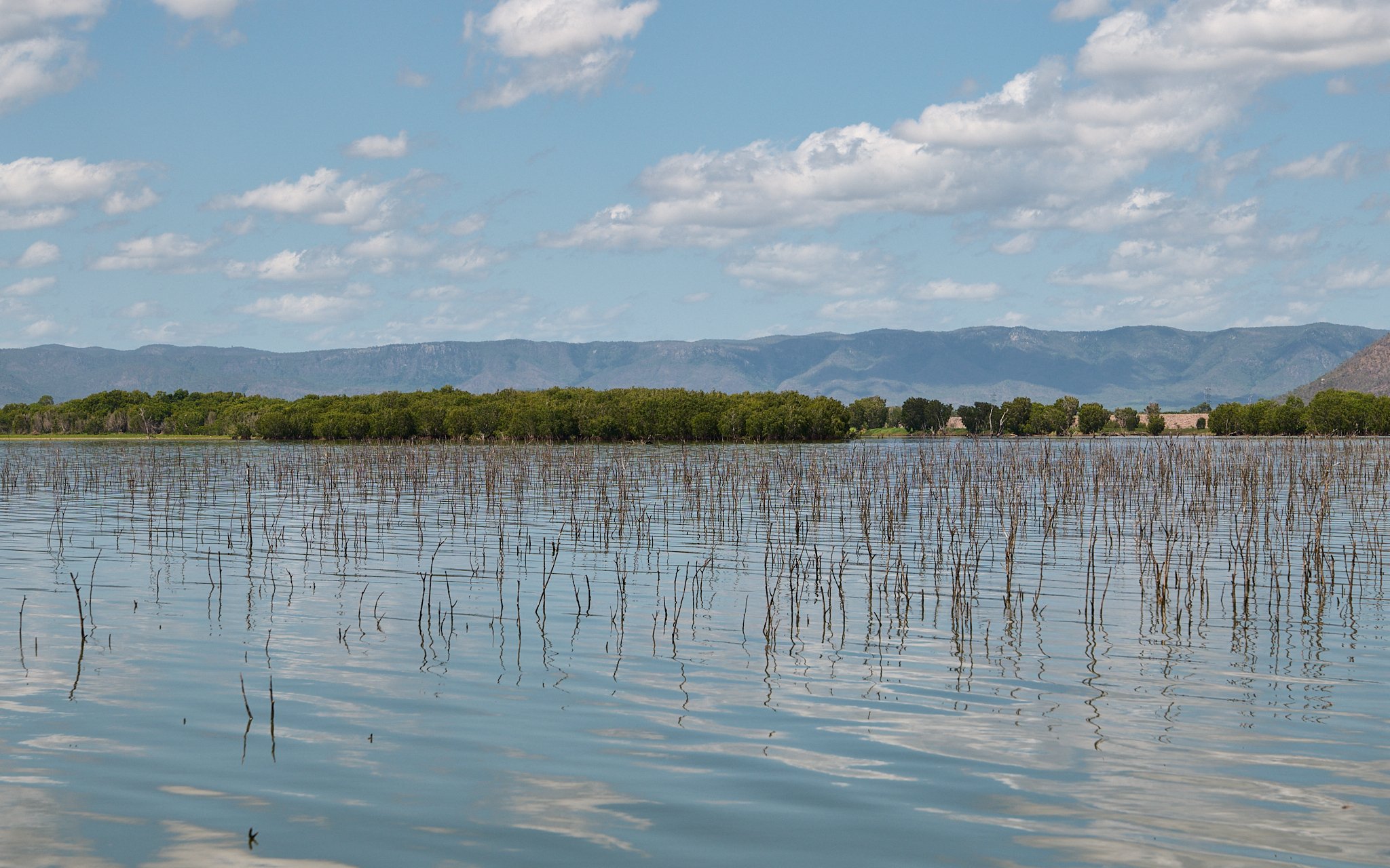 AFO & TBRG Barra Release Ross Dam -2025-01-05 23.15.11.jpg
