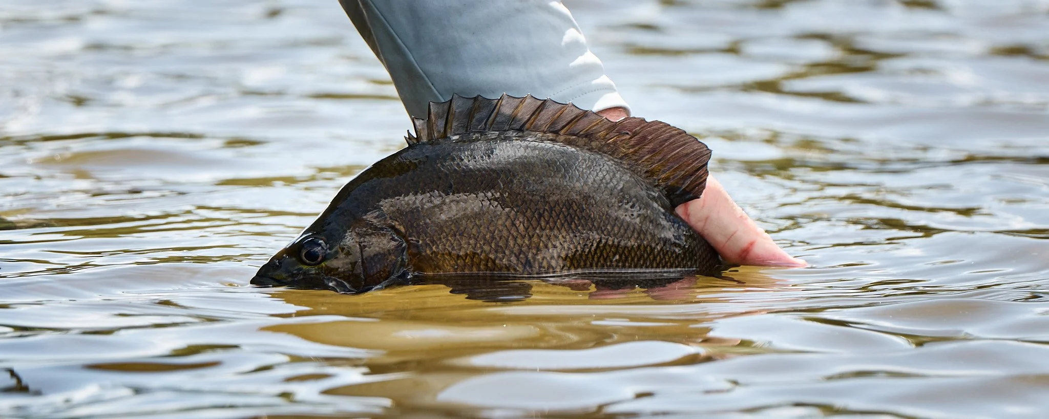 Unsorted-2025-01-11 22.56.57.jpg