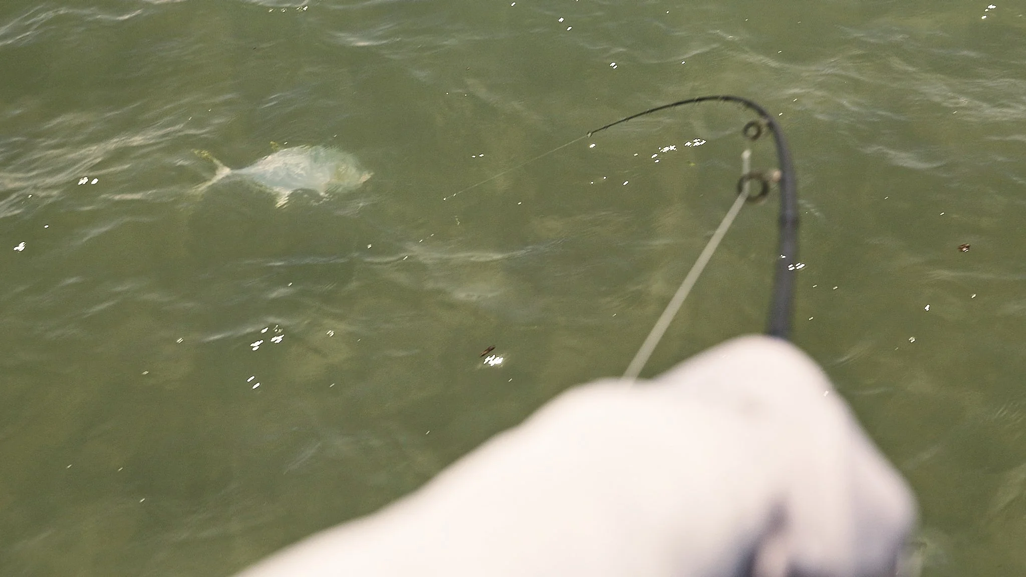 Unsorted-2025-05-26 02.32.12 3.jpg