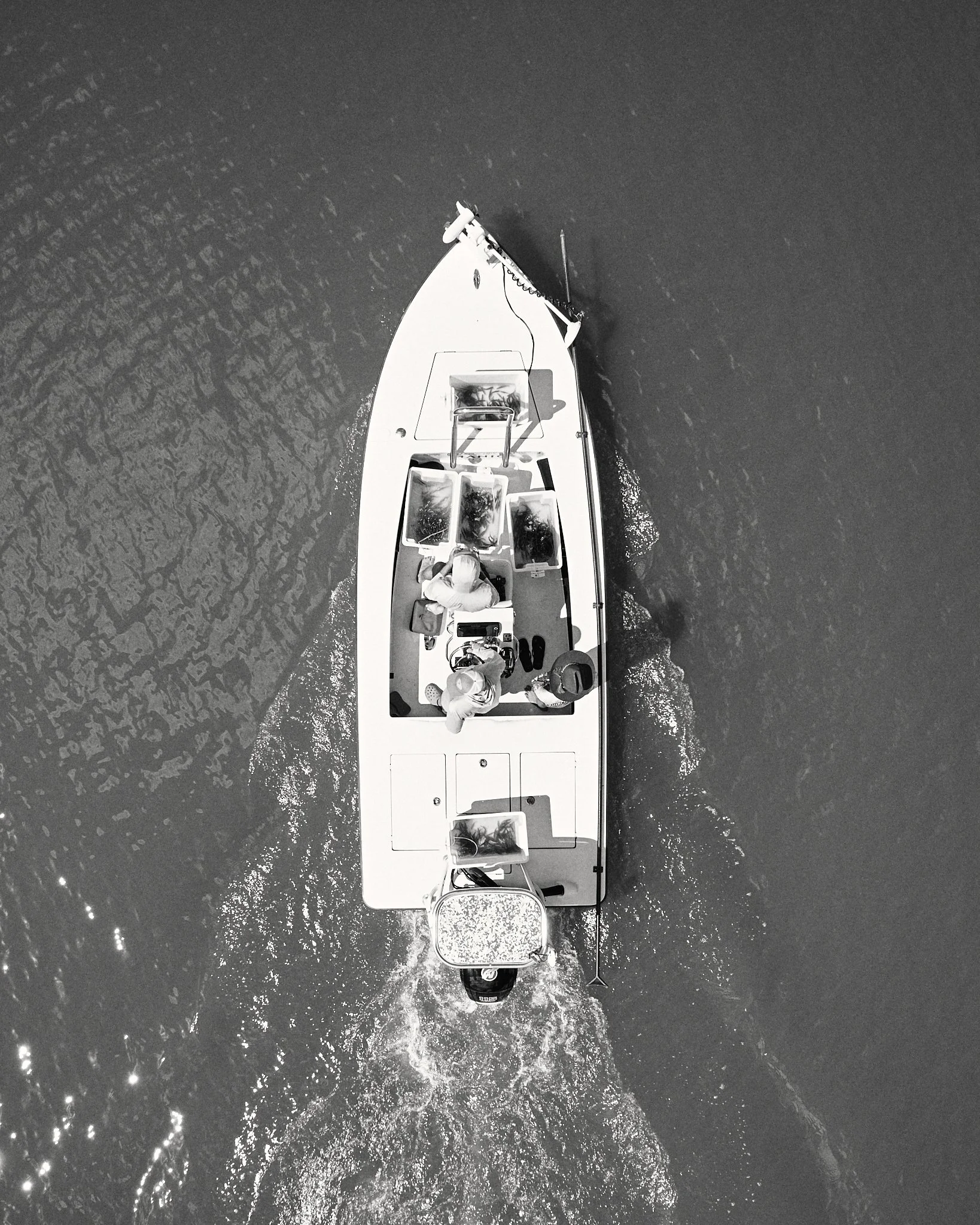 AFO & TBRG Barra Release Ross Dam -2025-12-07 07.38.42 1.jpg