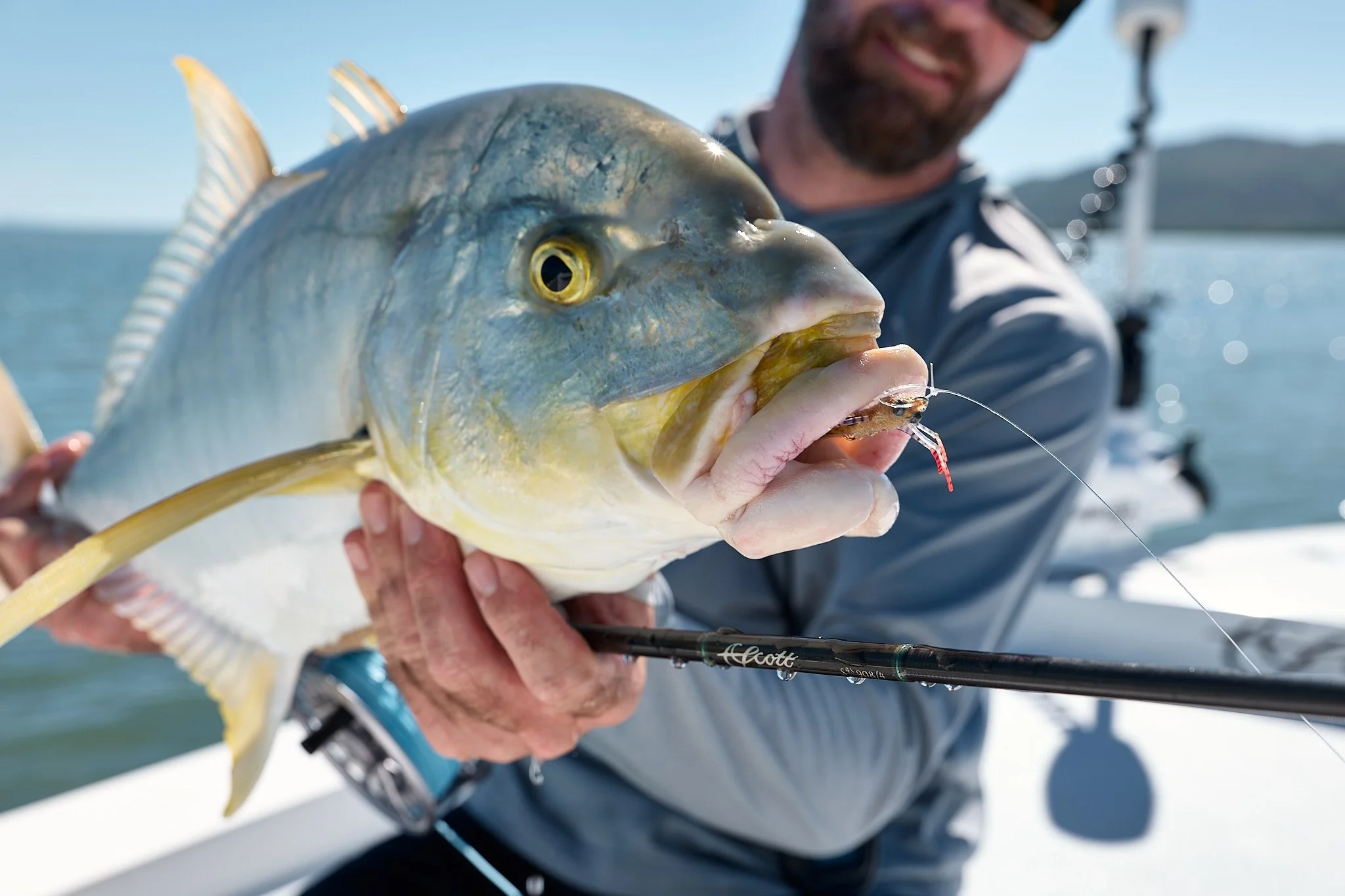Golden Trevally-2024-06-12 12.41.36.jpg