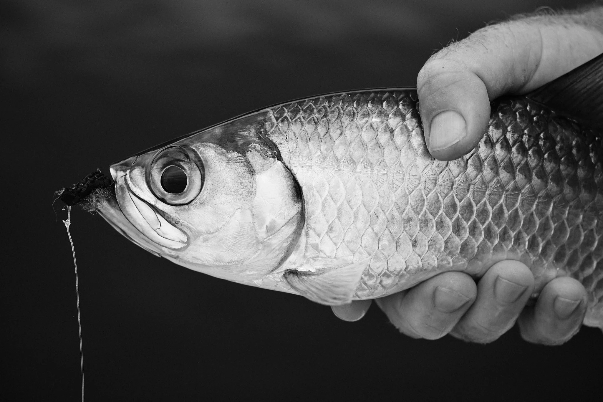 Fujifilm XT3-21-03-04-6160.jpg