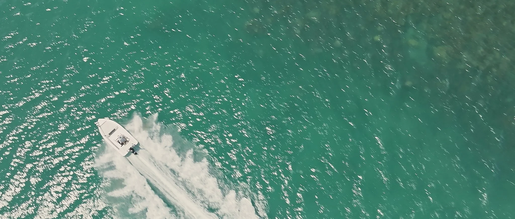 Unsorted-2025-05-26 02.32.11.jpg