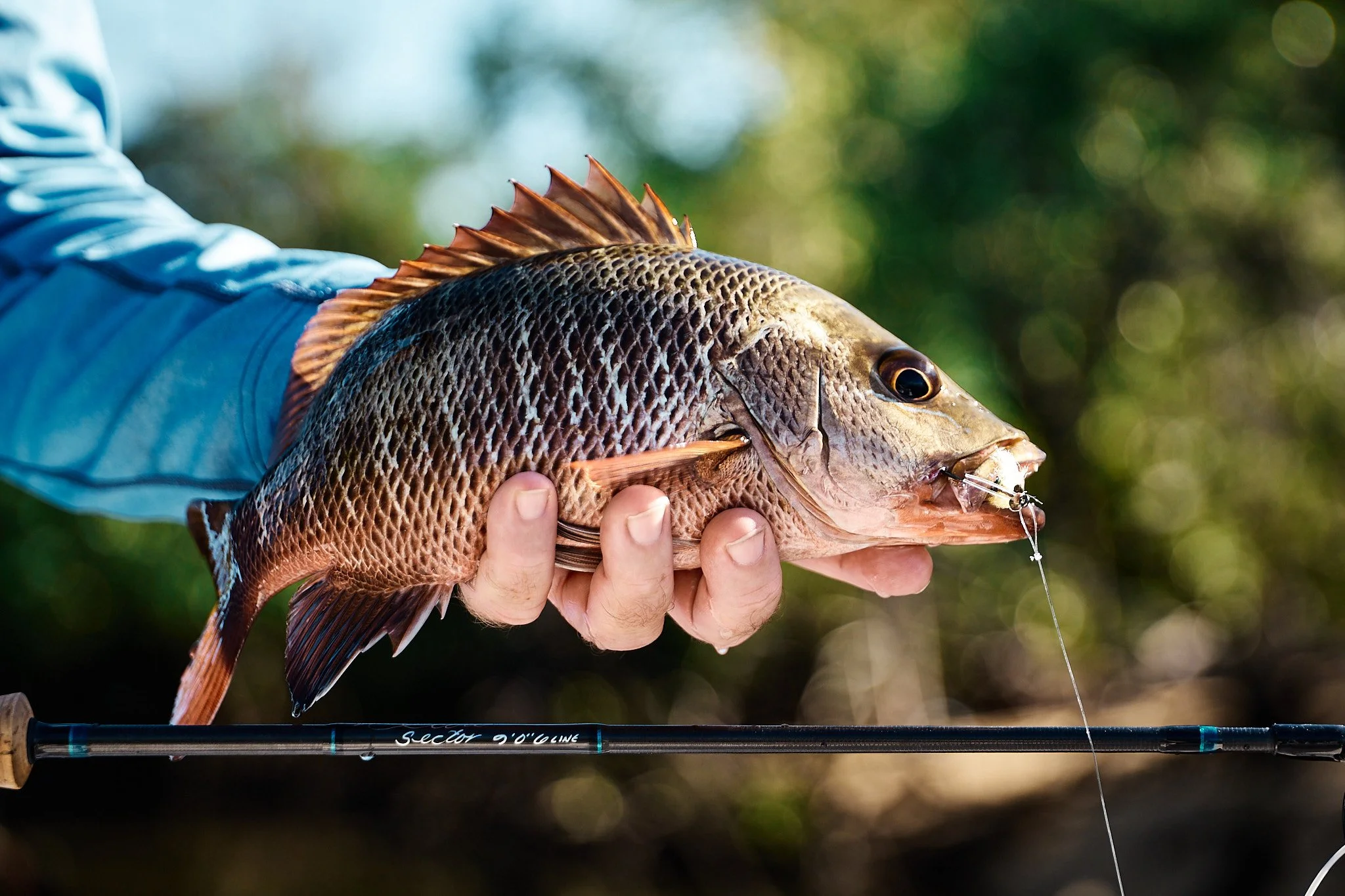 Unsorted-2025-04-30 09.06.17 2.jpg