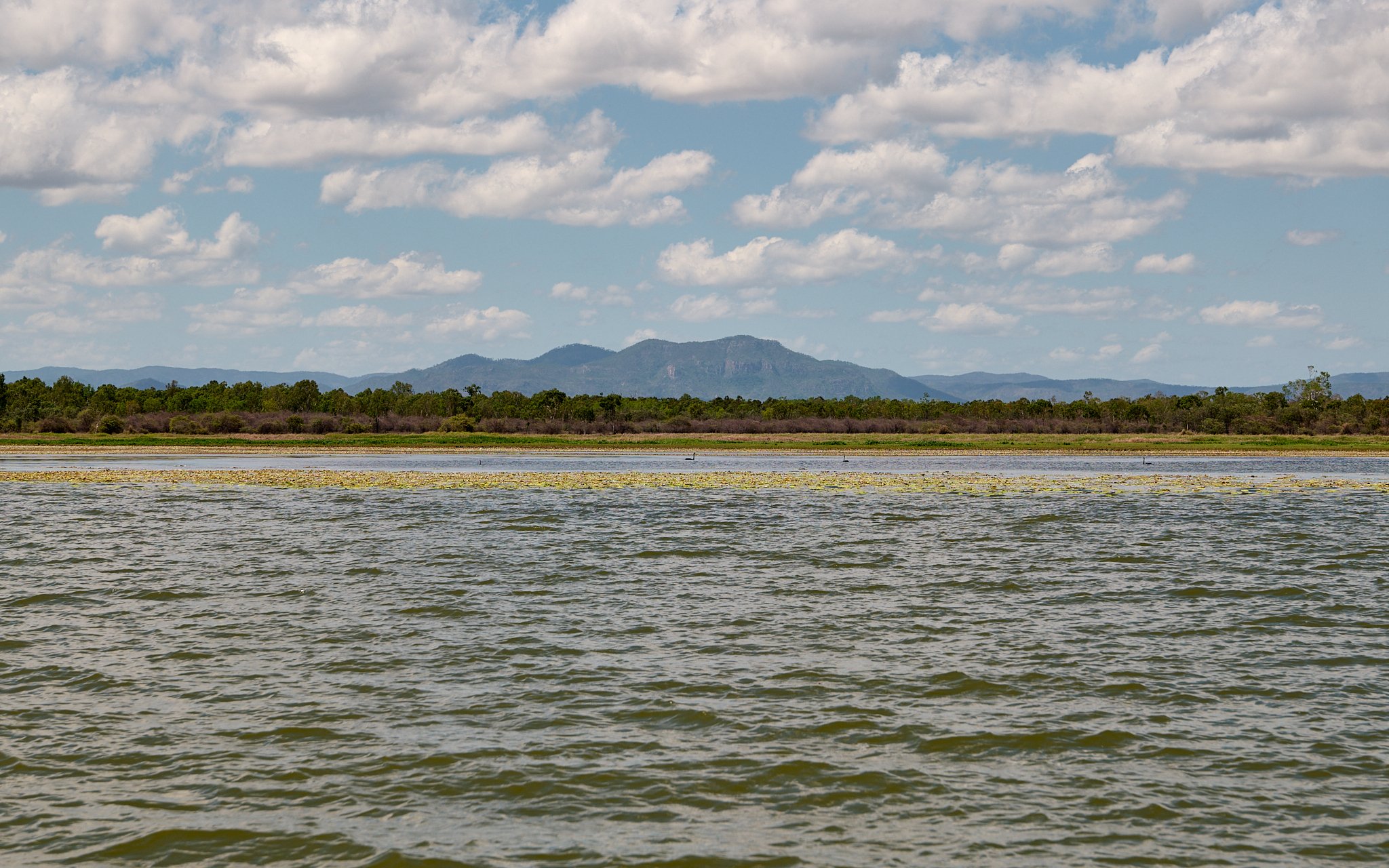 AFO & TBRG Barra Release Ross Dam -2025-01-05 23.53.30.jpg