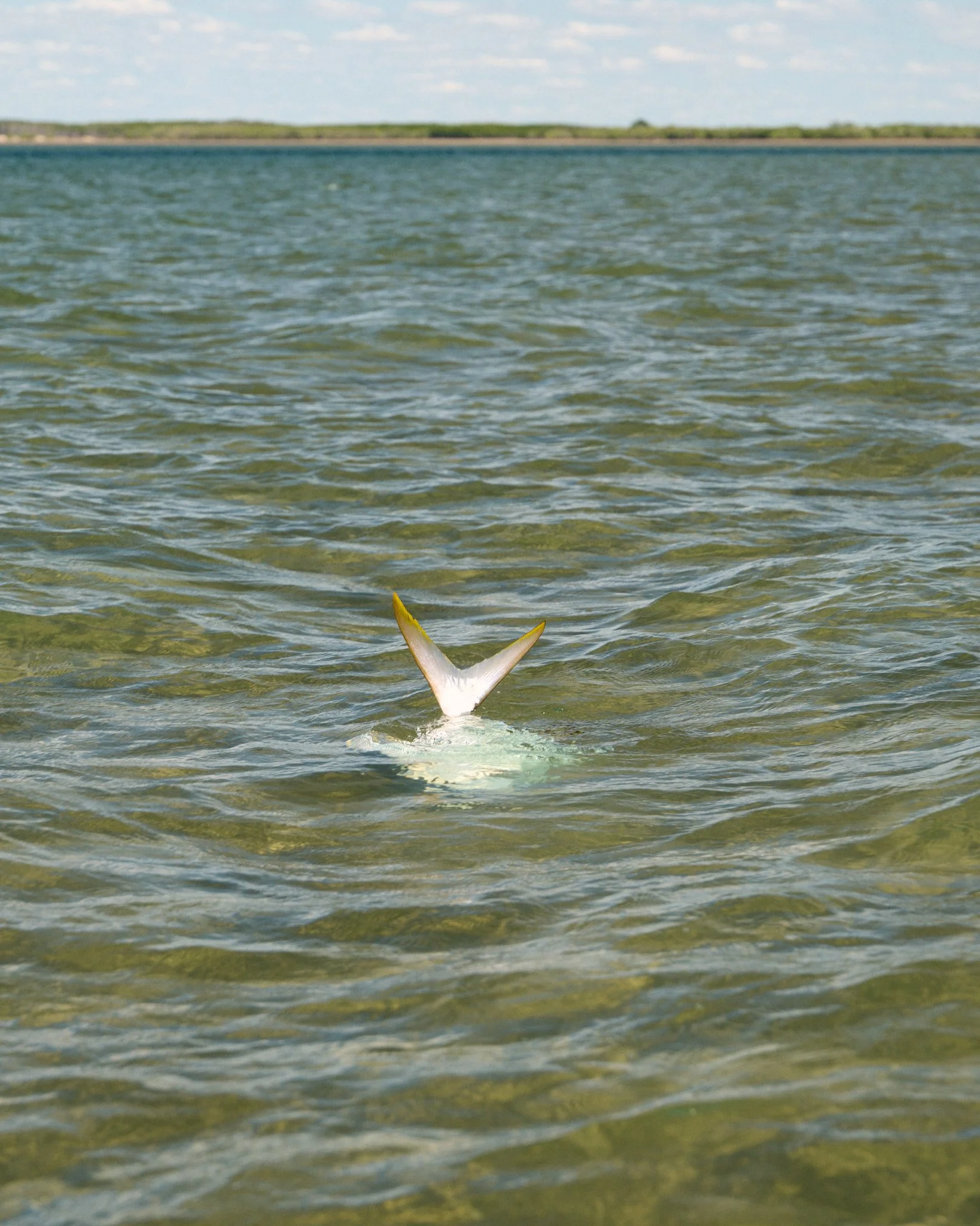 Permit-2025-08-05 13.52.26 173.jpg