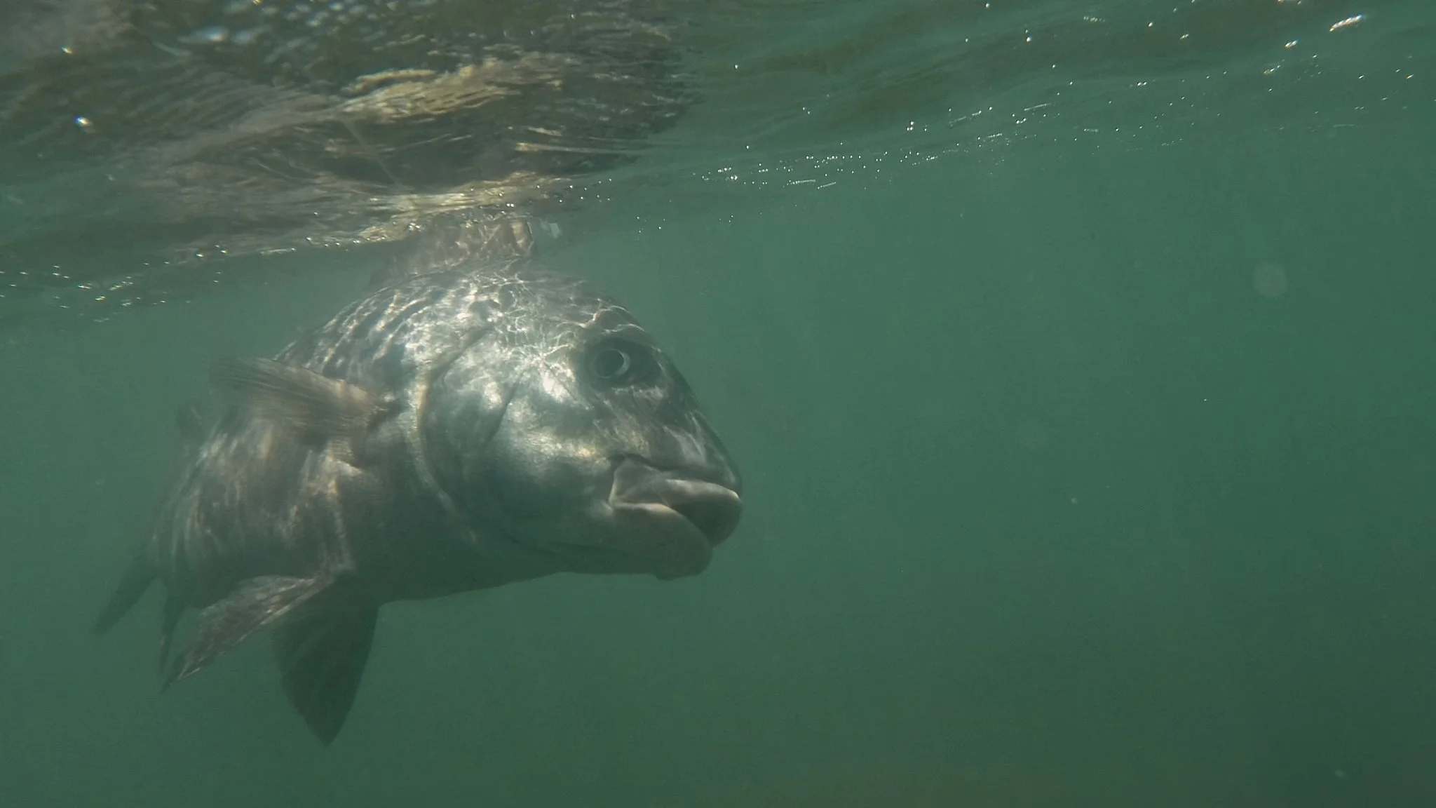 Unsorted-2025-05-26 02.32.11 4.jpg