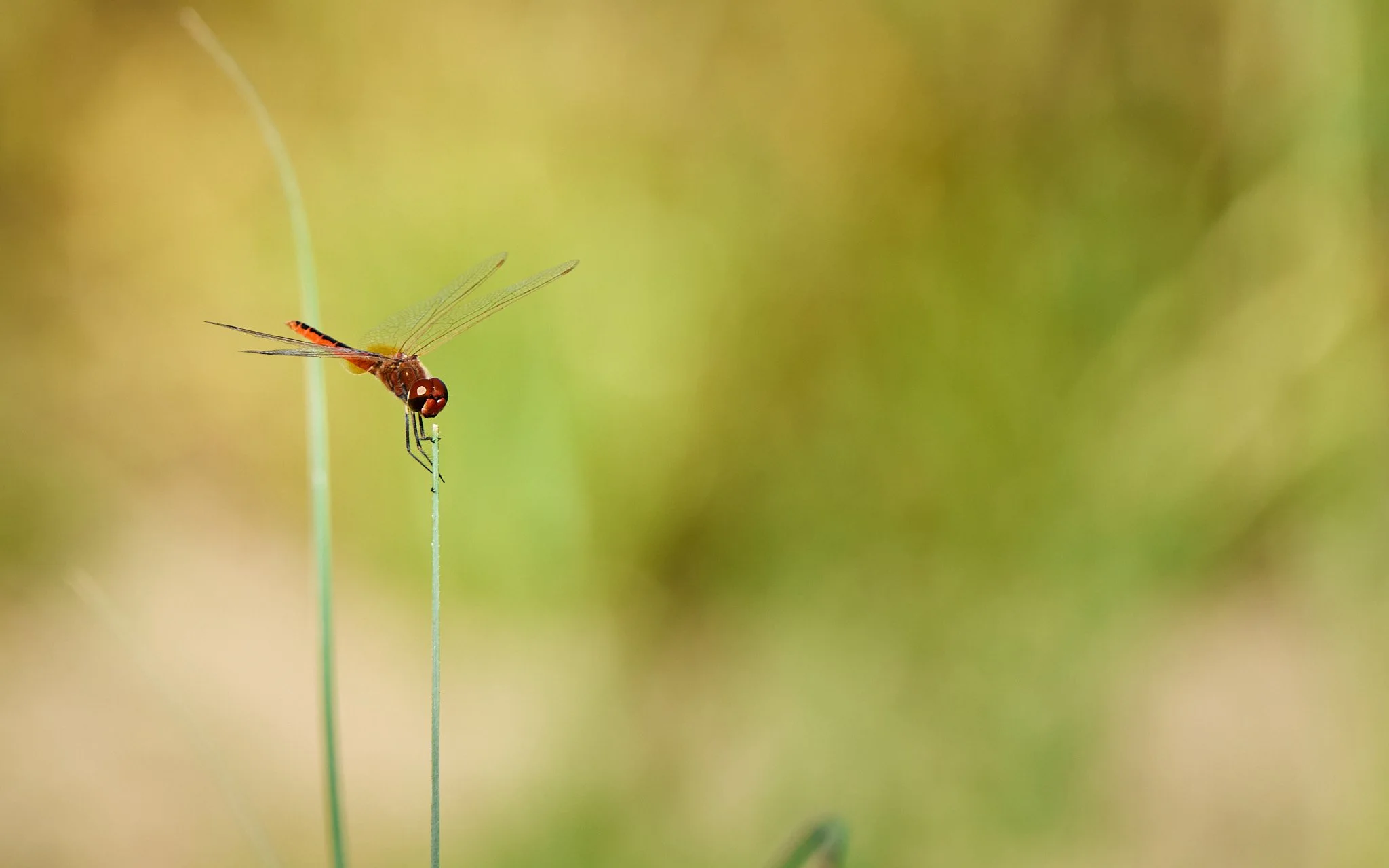 Unsorted-2025-01-11 21.39.21.jpg