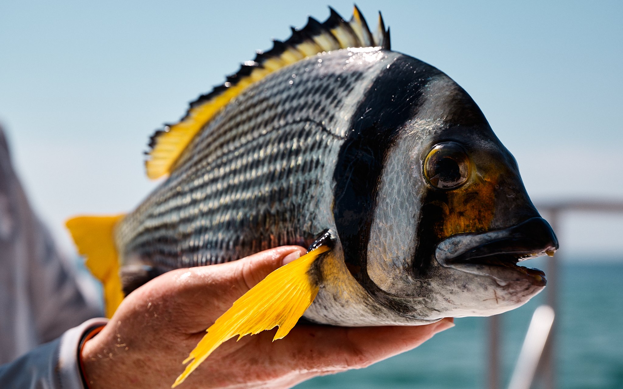 ASF & Flatscraft Oman -2025-11-06 11.52.25 1634.jpg