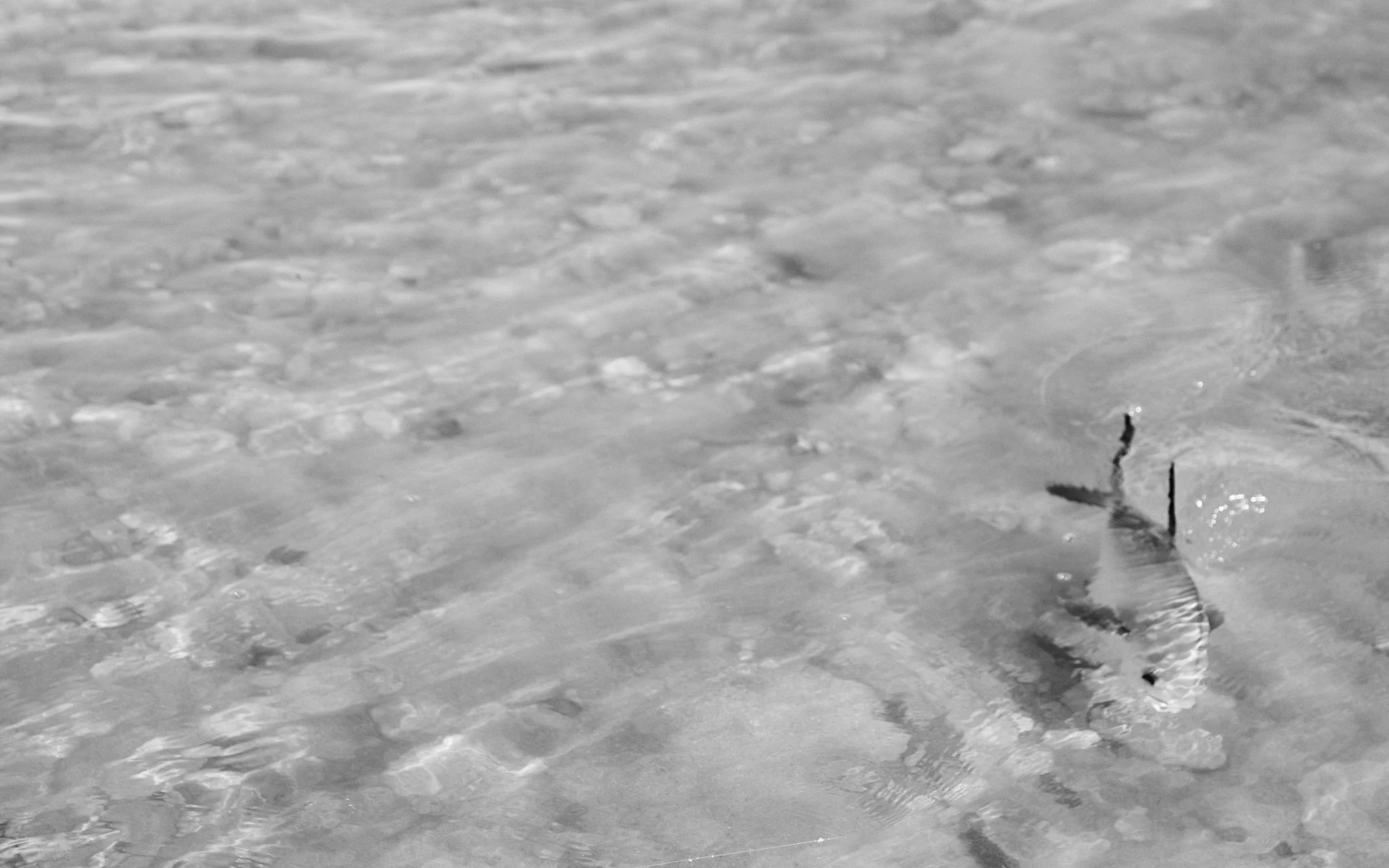 ASF & Flatscraft Oman -2025-11-10 09.12.58 5724.jpg