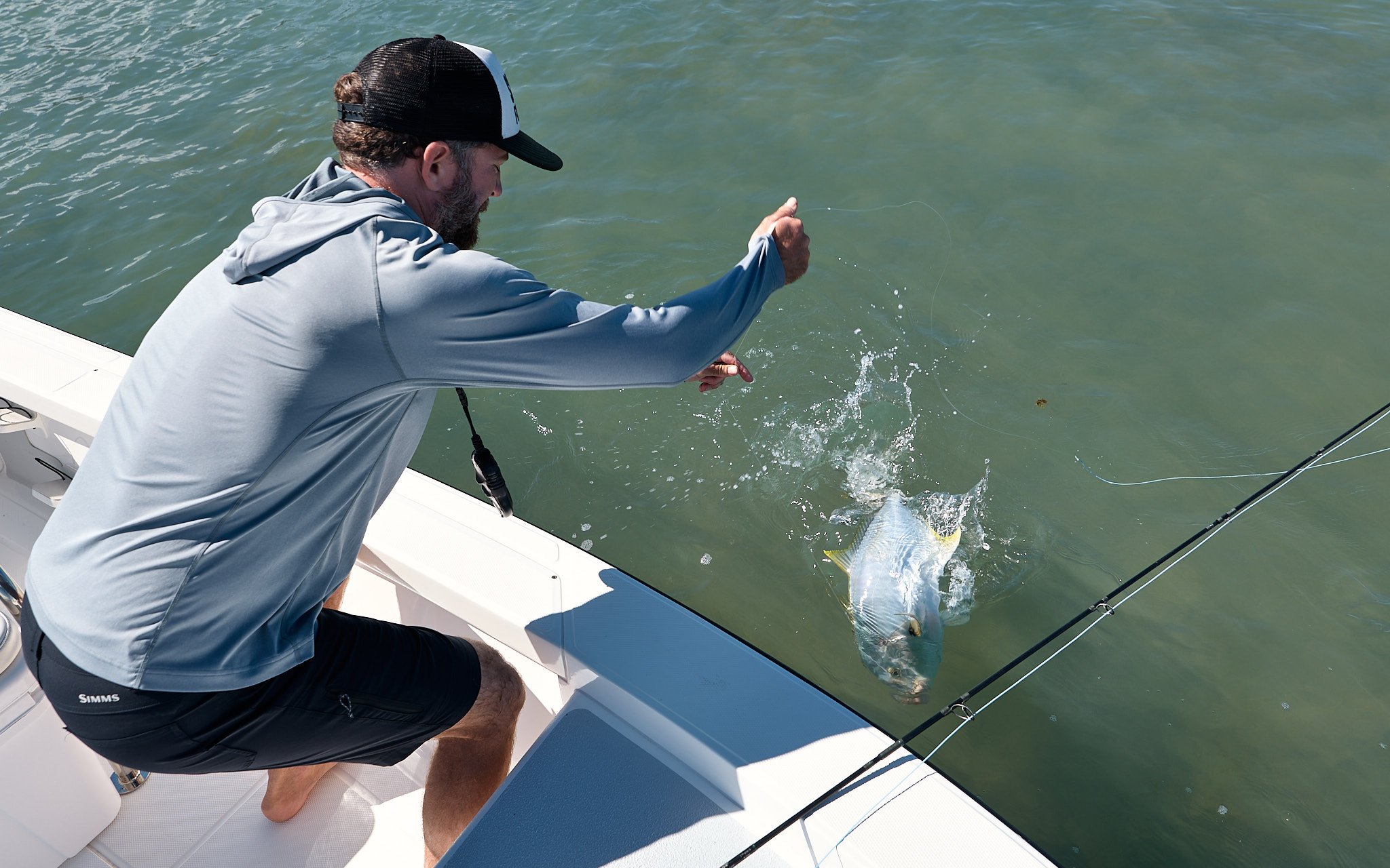 Golden Trevally-2024-06-12 12.40.30.jpg