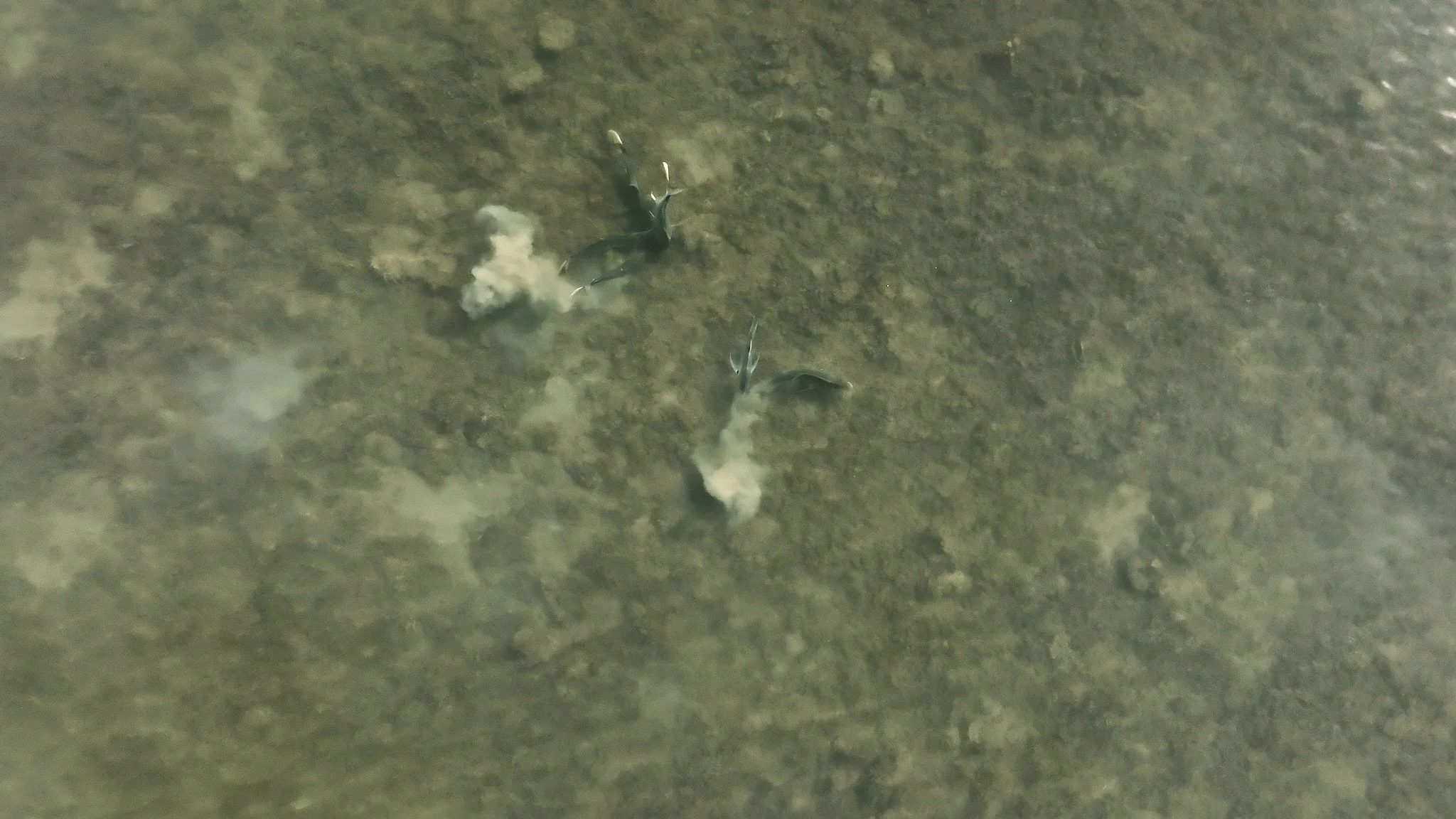 Unsorted-2025-05-26 02.32.12.jpg