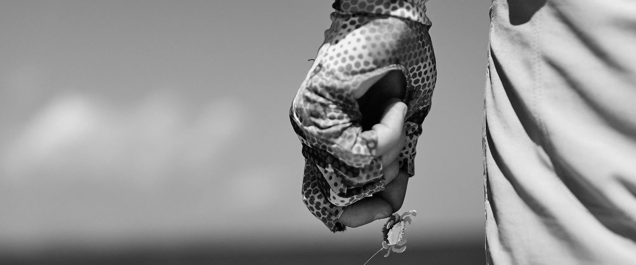 Permit-2024-08-24 14.14.17.jpg