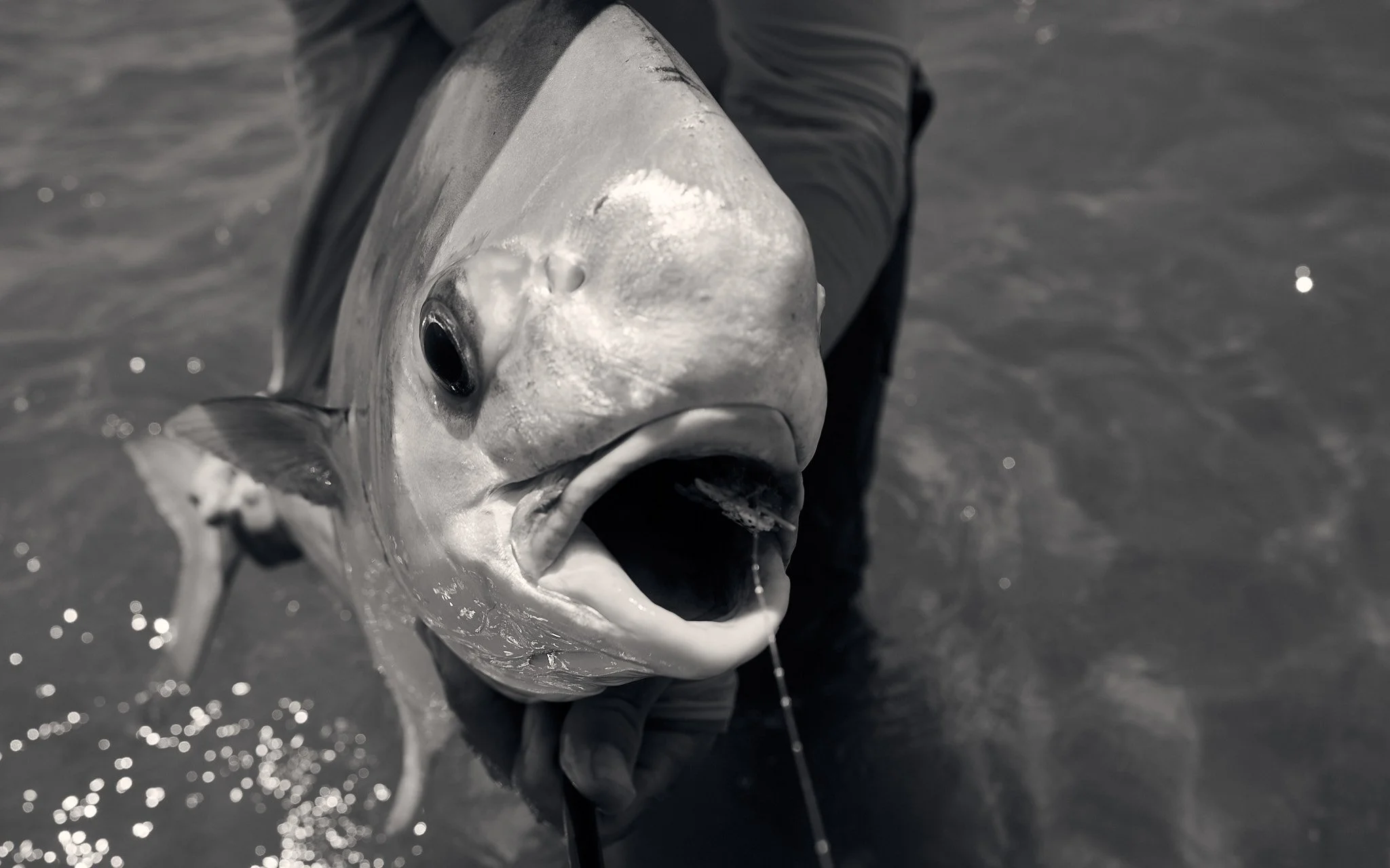 Permit-2023-10-22 12.31.53.jpg