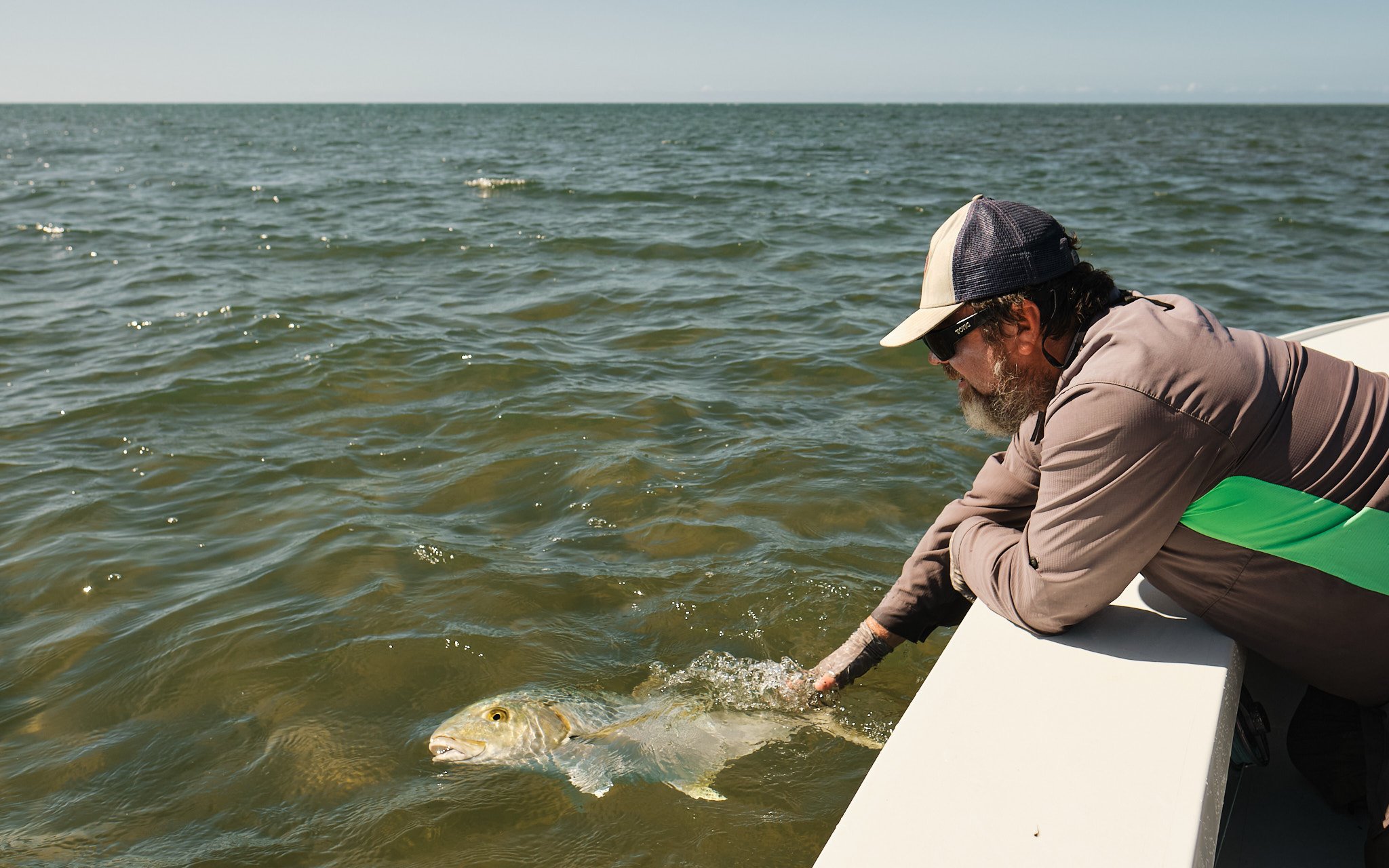 Golden Trevally-2022-05-05 14.11.09 1 1.jpg