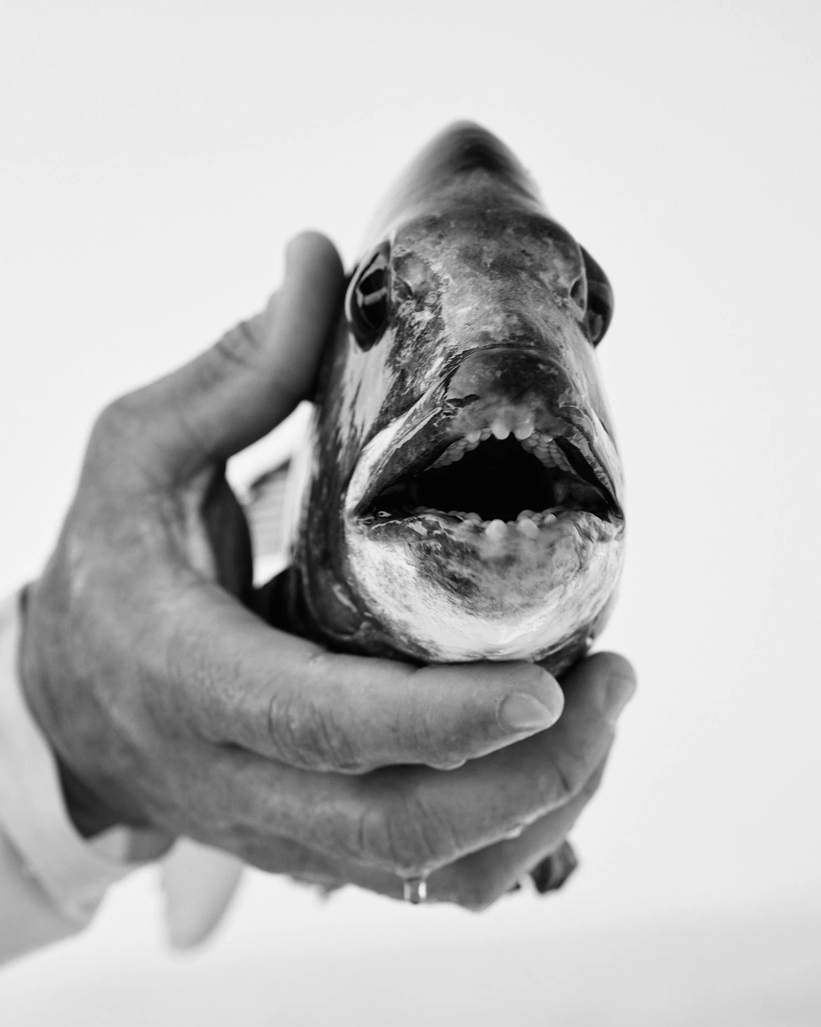 ASF & Flatscraft Oman -2025-11-07 08.56.11.jpg