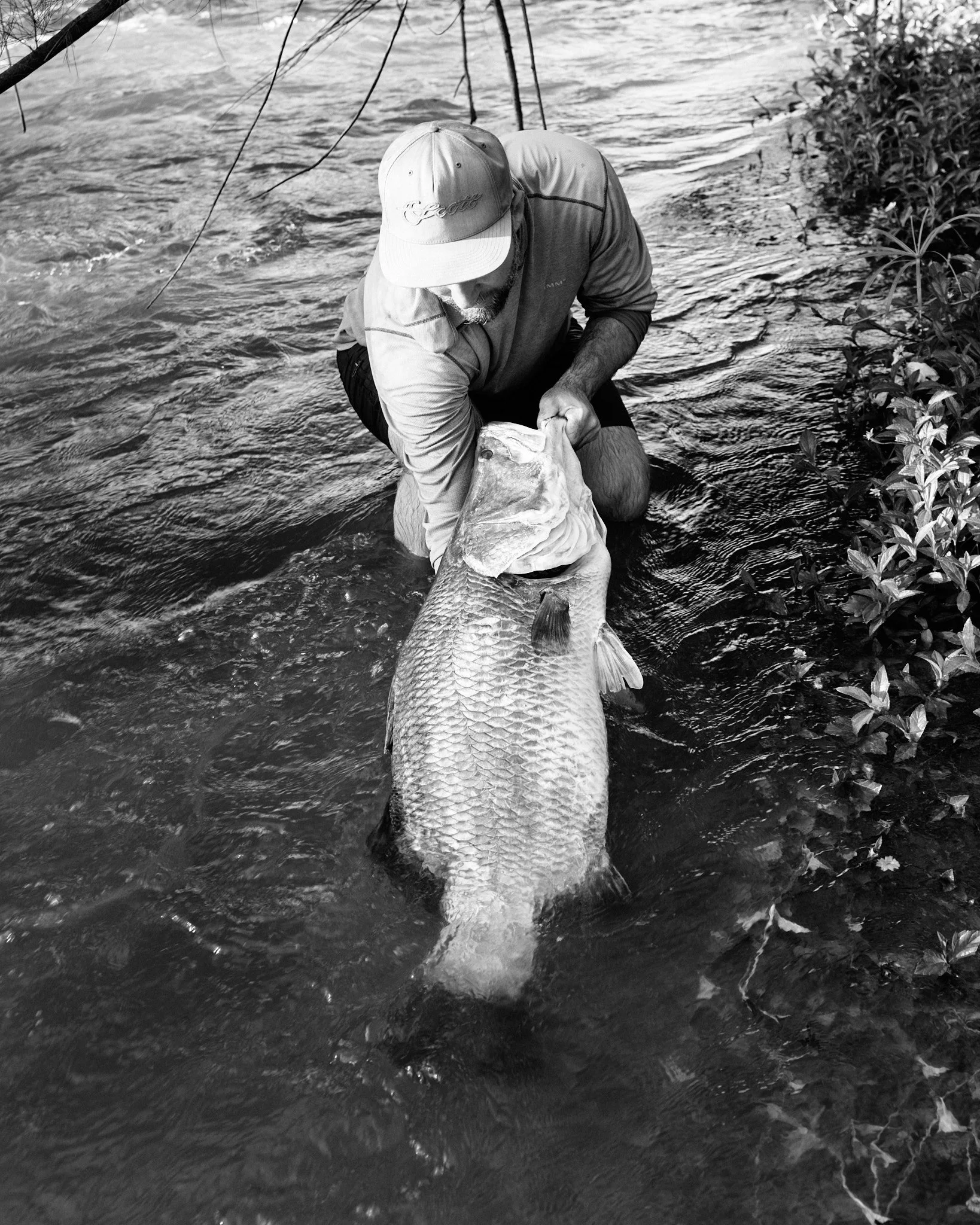 Barramundi-2026-01-07 06.46.30.jpg