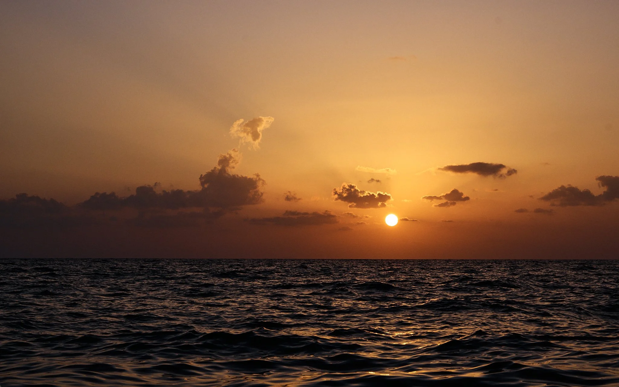 ASF & Flatscraft Oman -2025-11-09 06.30.55.jpg