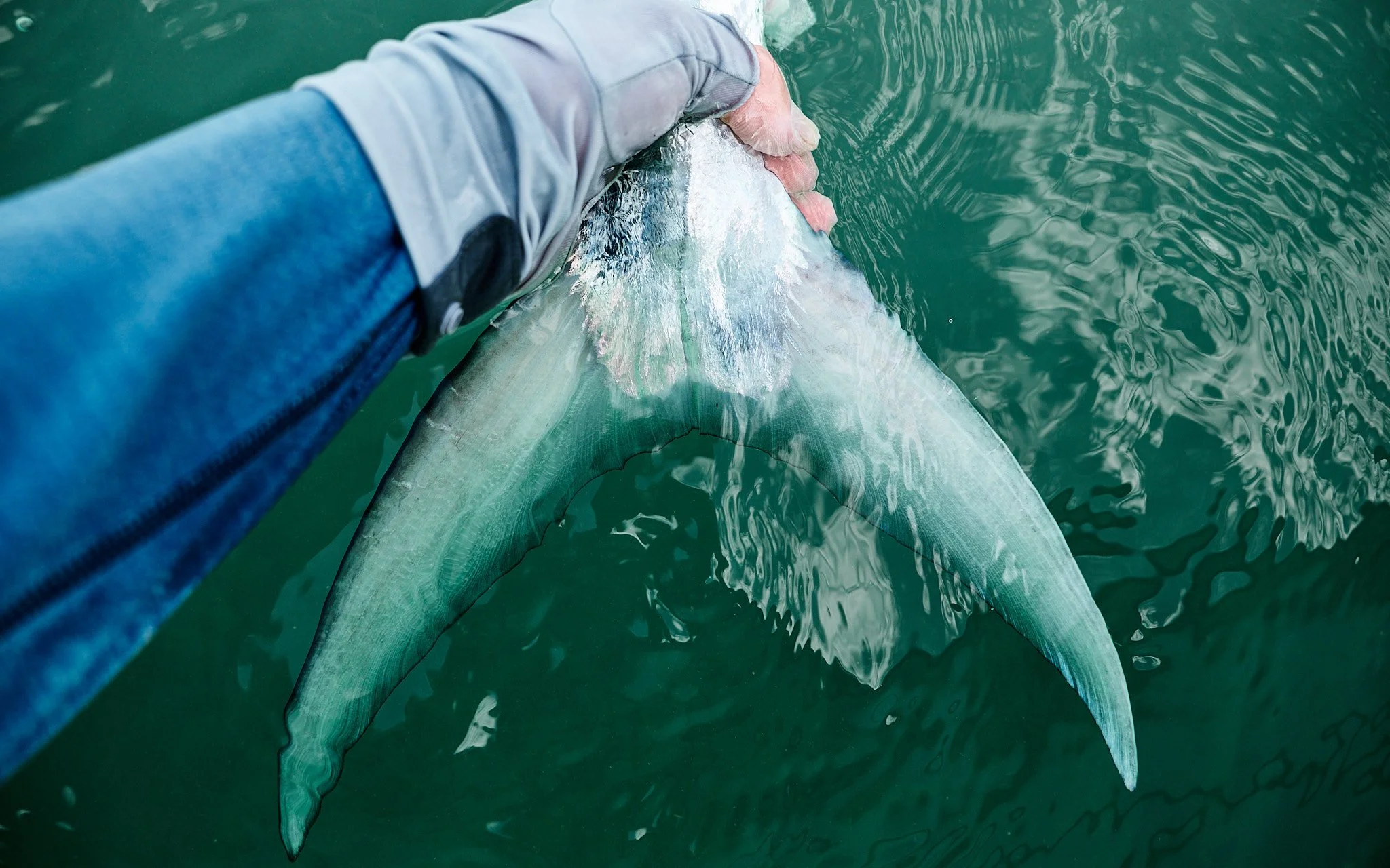 Unsorted-2025-06-10 14.00.23 2.jpg