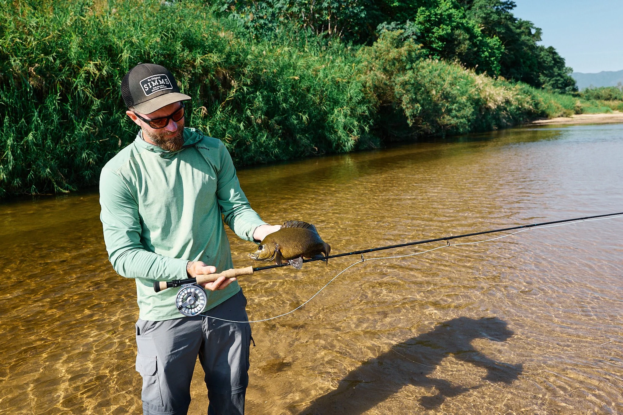 Hinchy sooty mission-23-10-31-9511.jpg