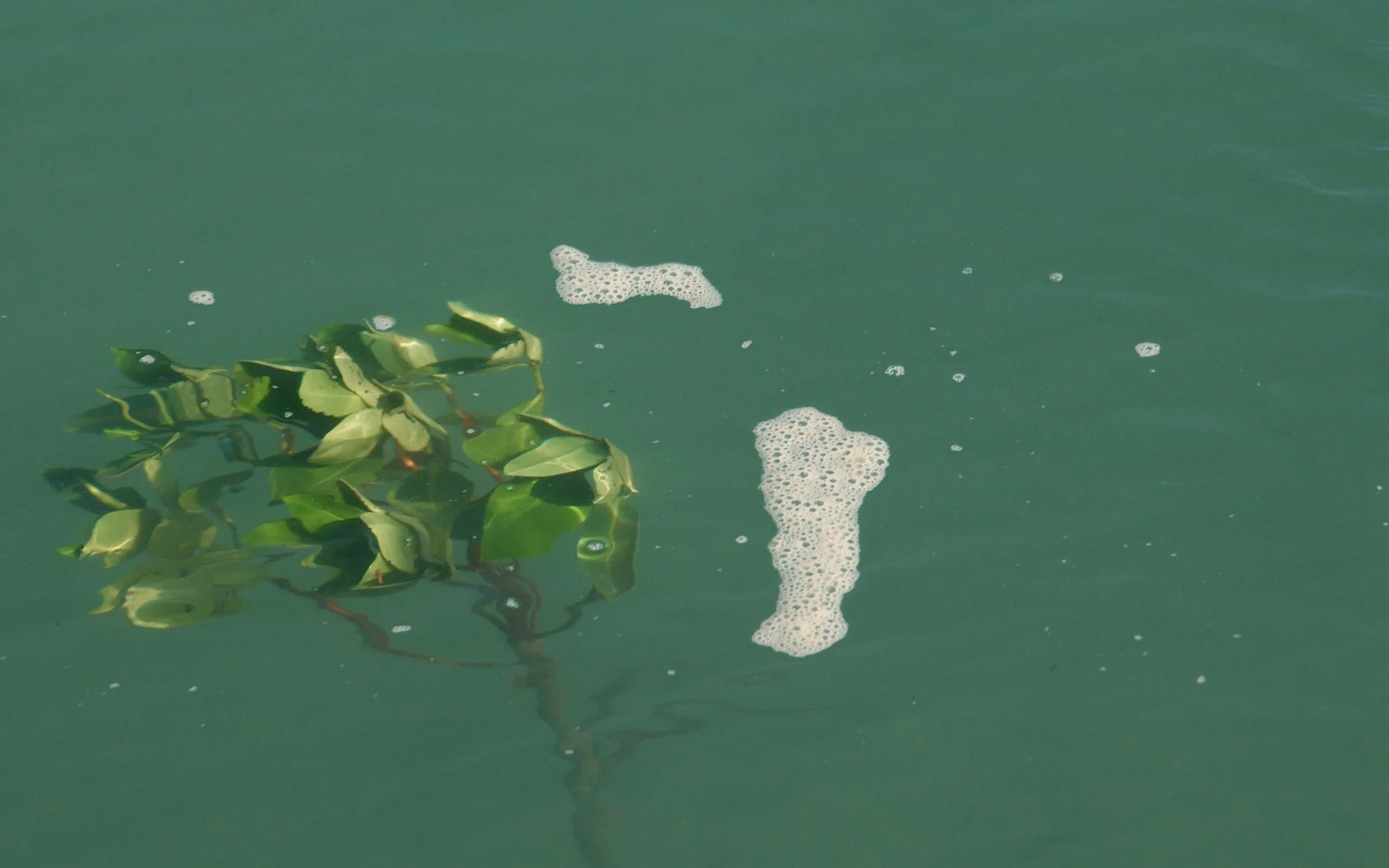 Unsorted-Shimano-2025-03-18 04.19.28 2.jpg